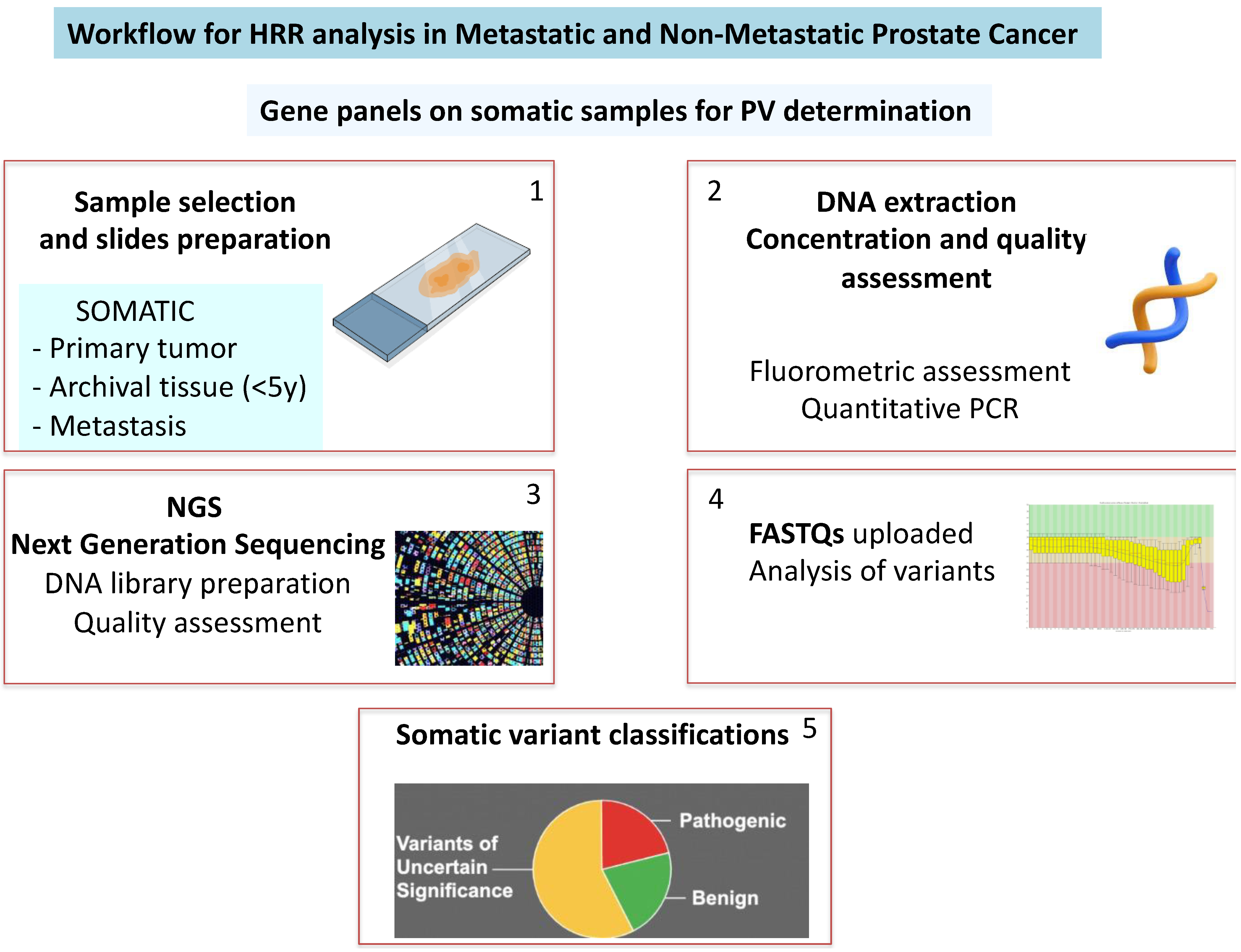 Biology 14 00117 g001