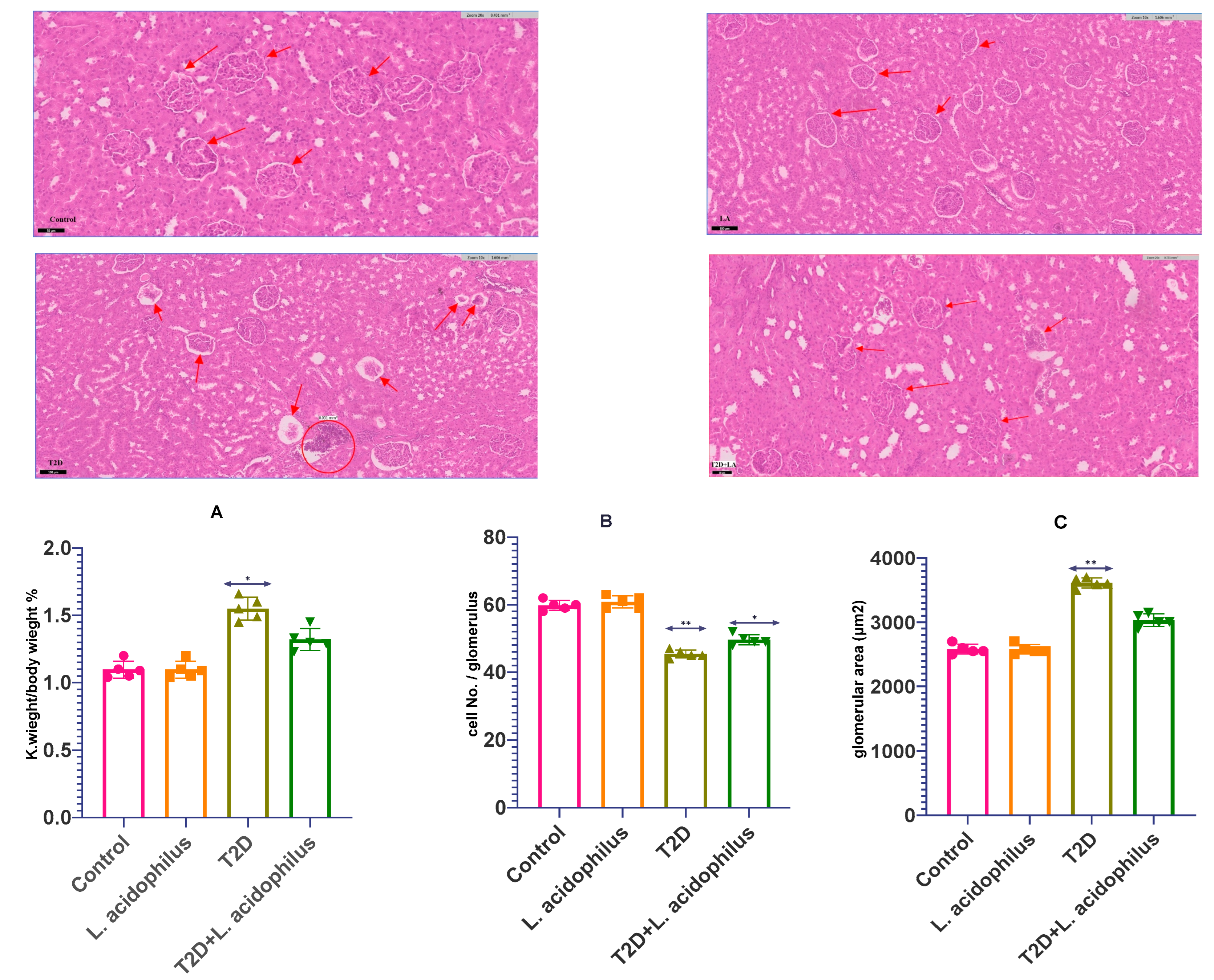 Biology 14 00122 g004