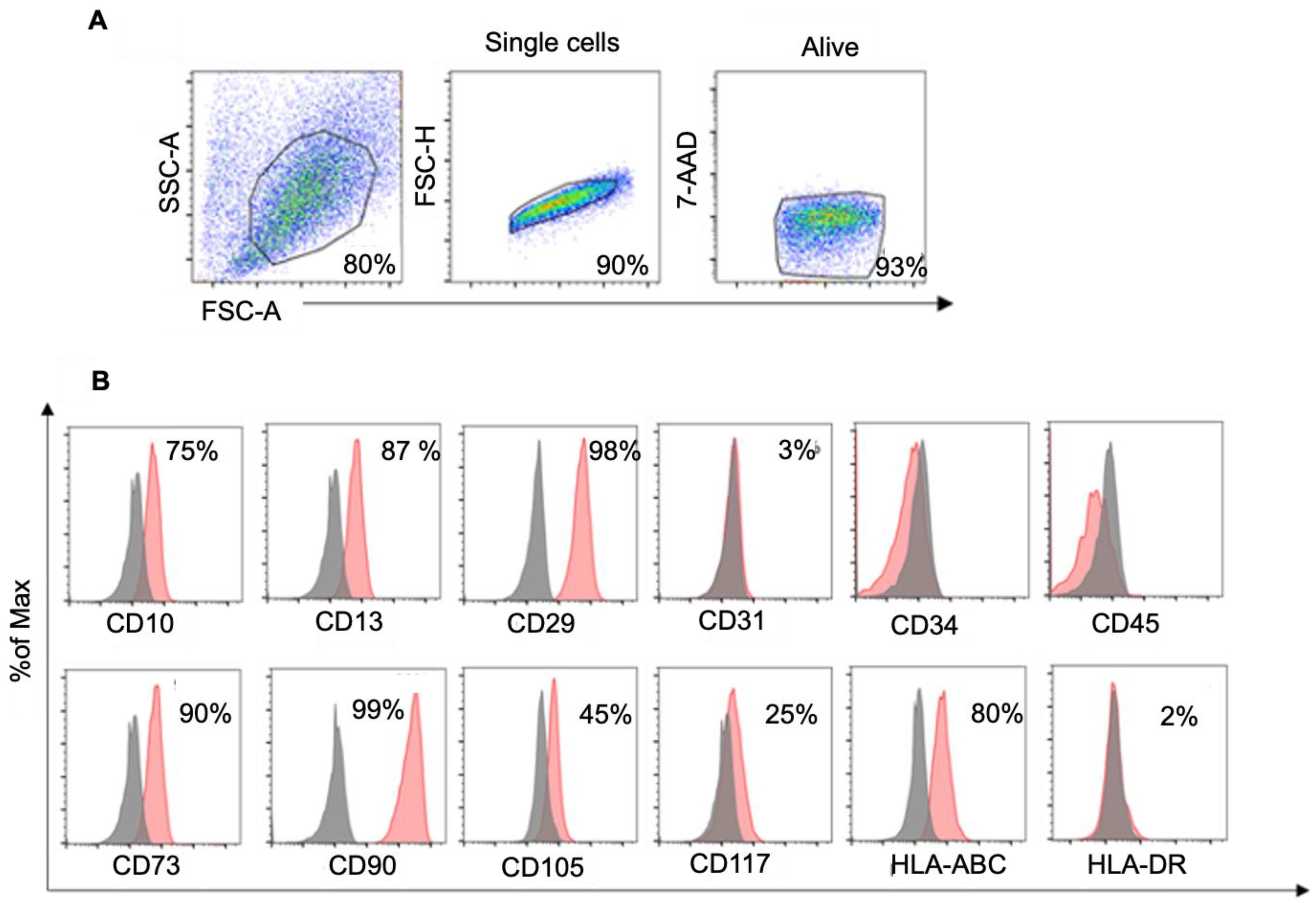 Biology 14 00124 g001 Biology 14 00124 g001