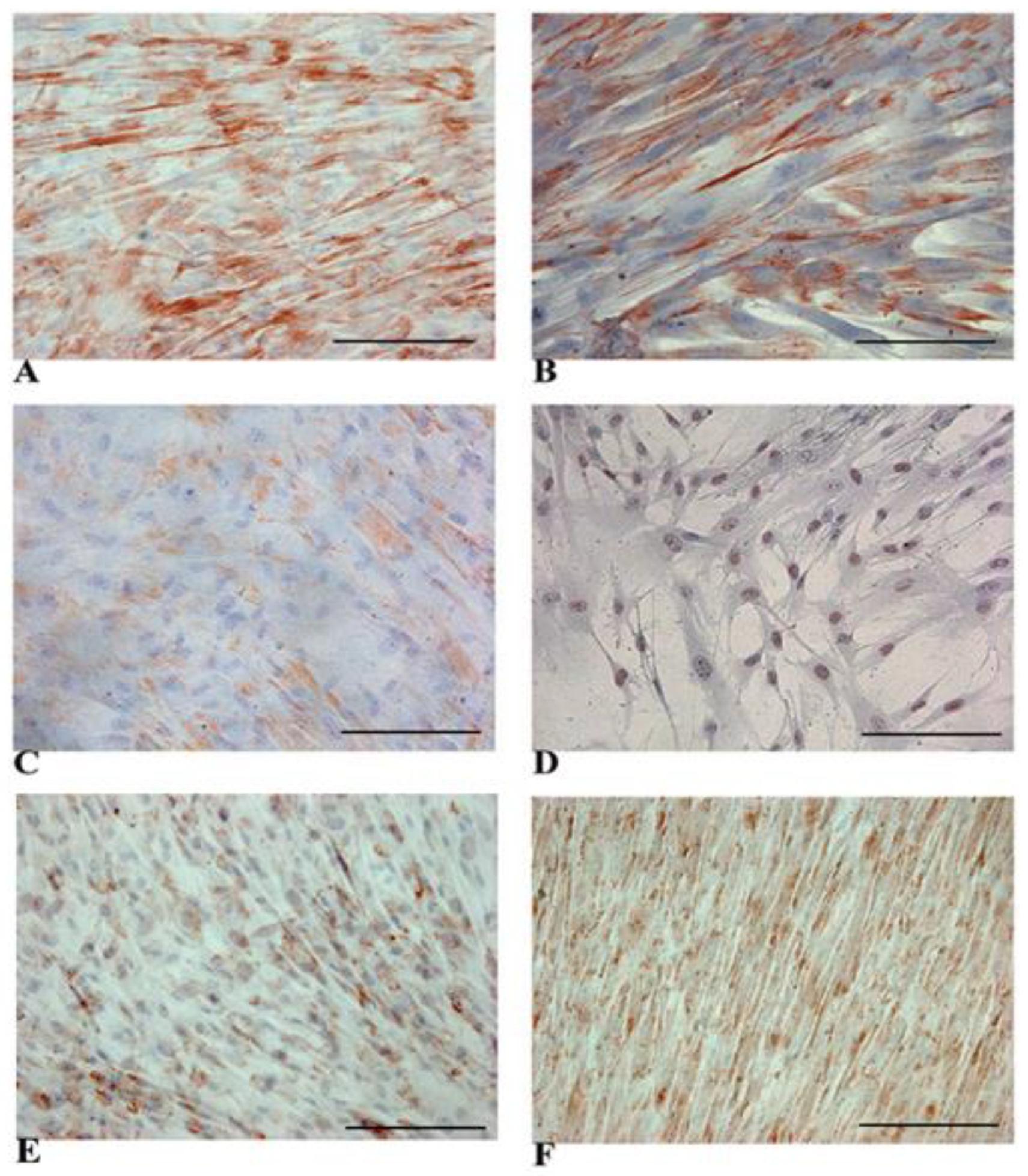 Biology 14 00124 g002 Biology 14 00124 g002