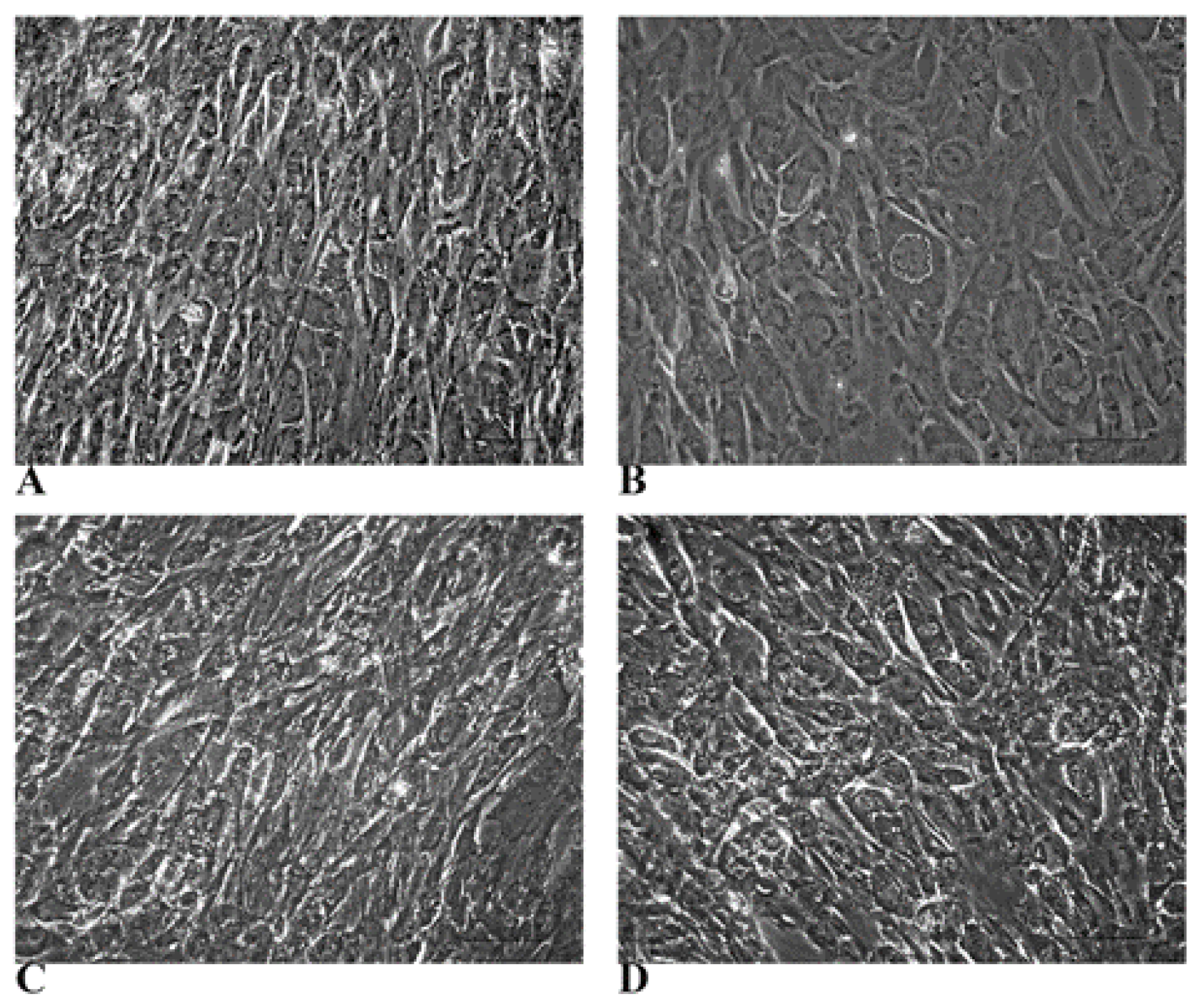Biology 14 00124 g003 Biology 14 00124 g003