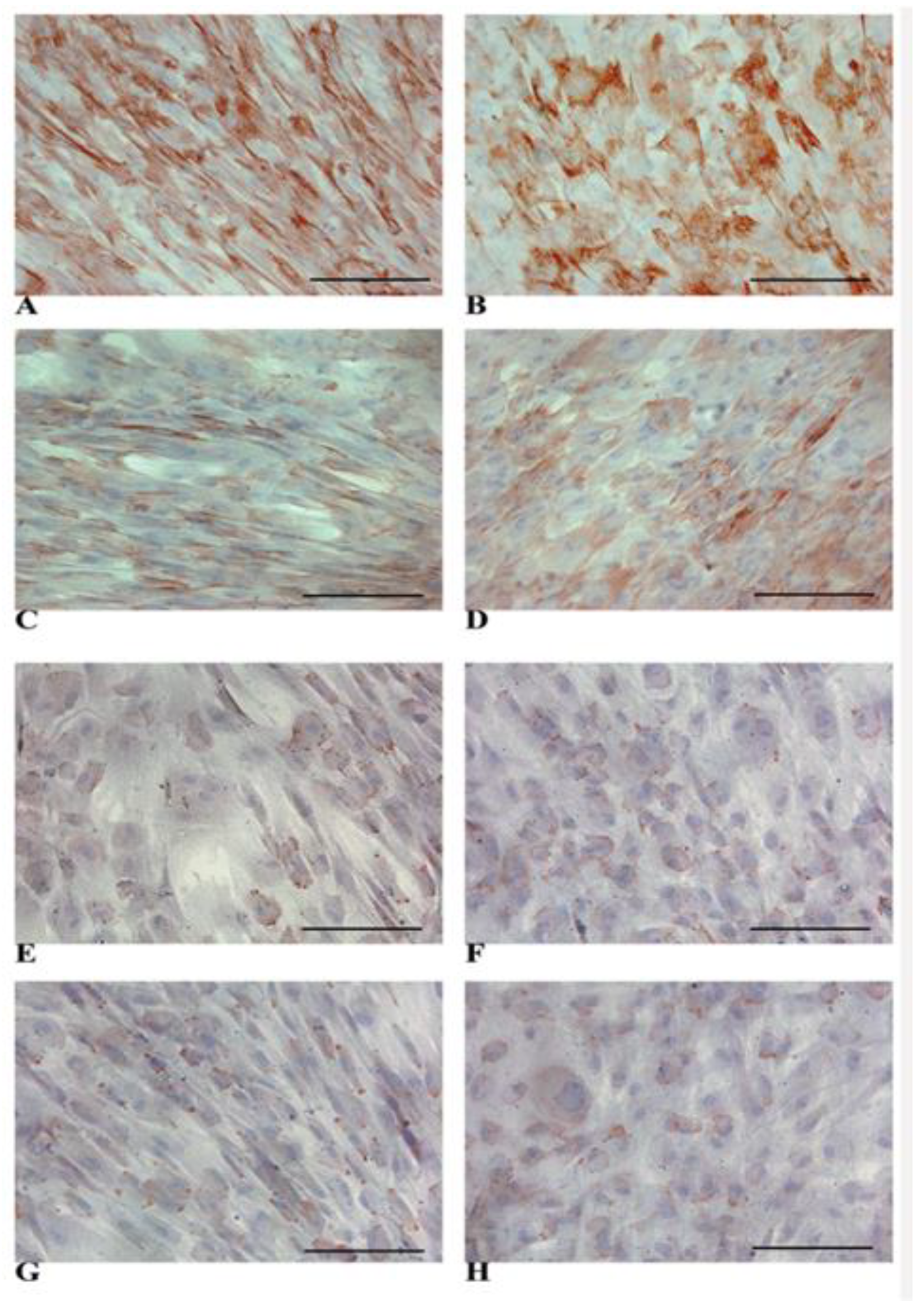 Biology 14 00124 g007 Biology 14 00124 g007