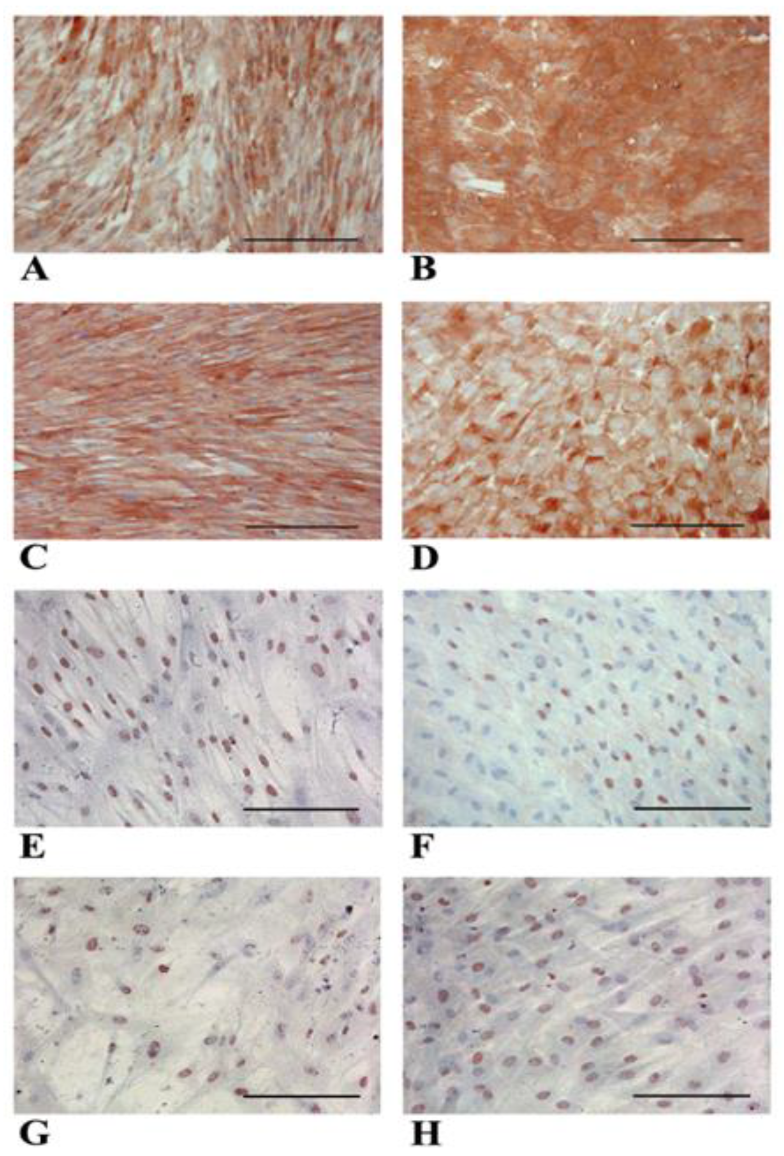 Biology 14 00124 g008 Biology 14 00124 g008