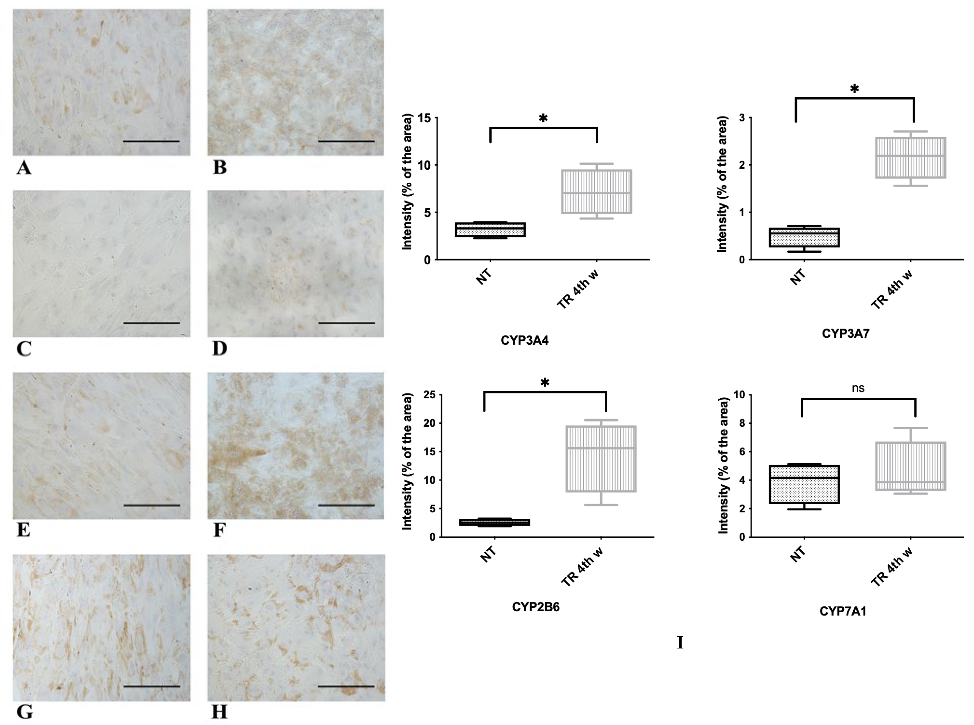 Biology 14 00124 g010 Biology 14 00124 g010