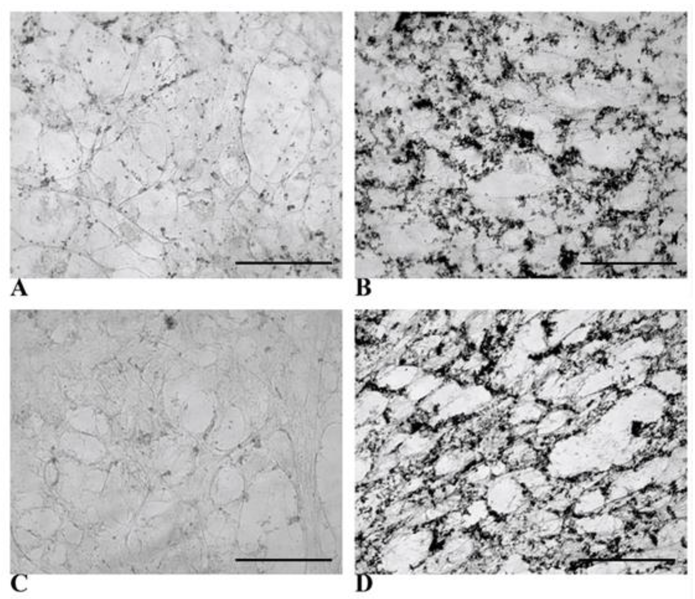 Biology 14 00124 g012 Biology 14 00124 g012