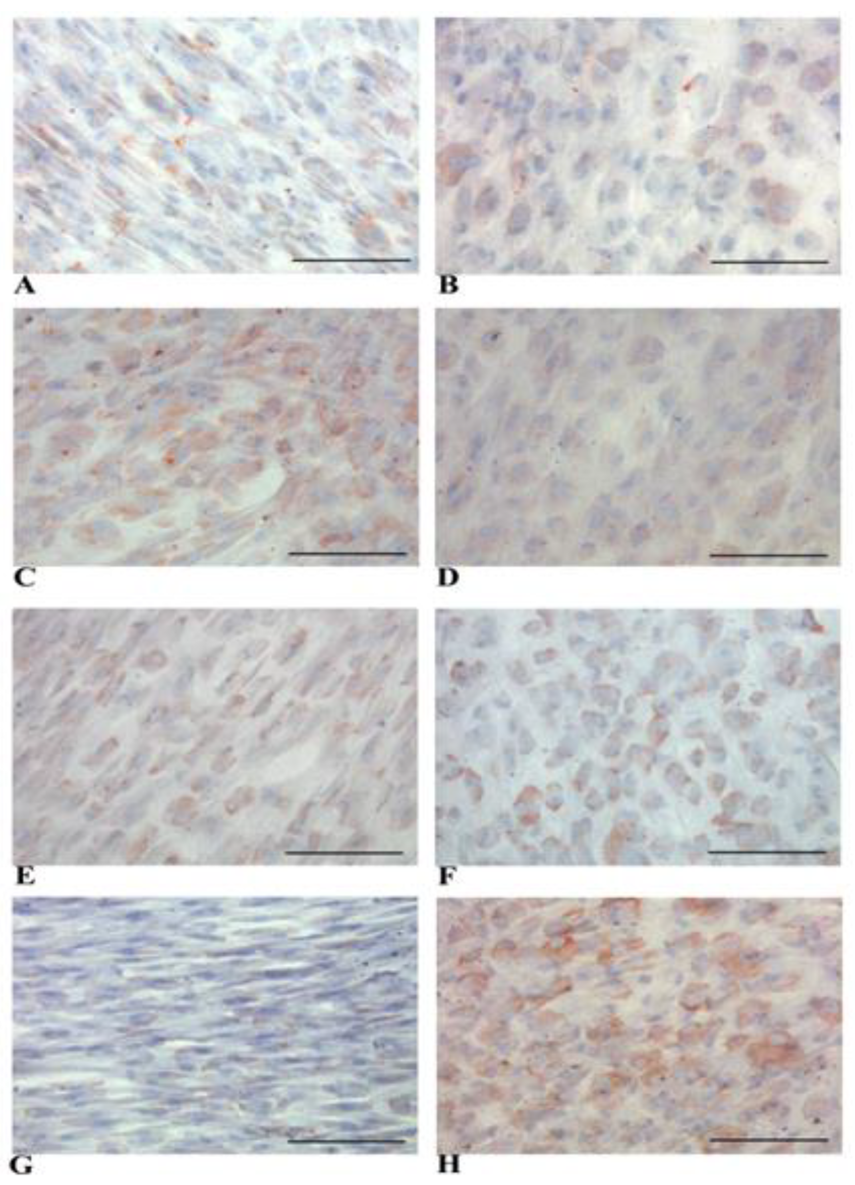 Biology 14 00124 g014 Biology 14 00124 g014