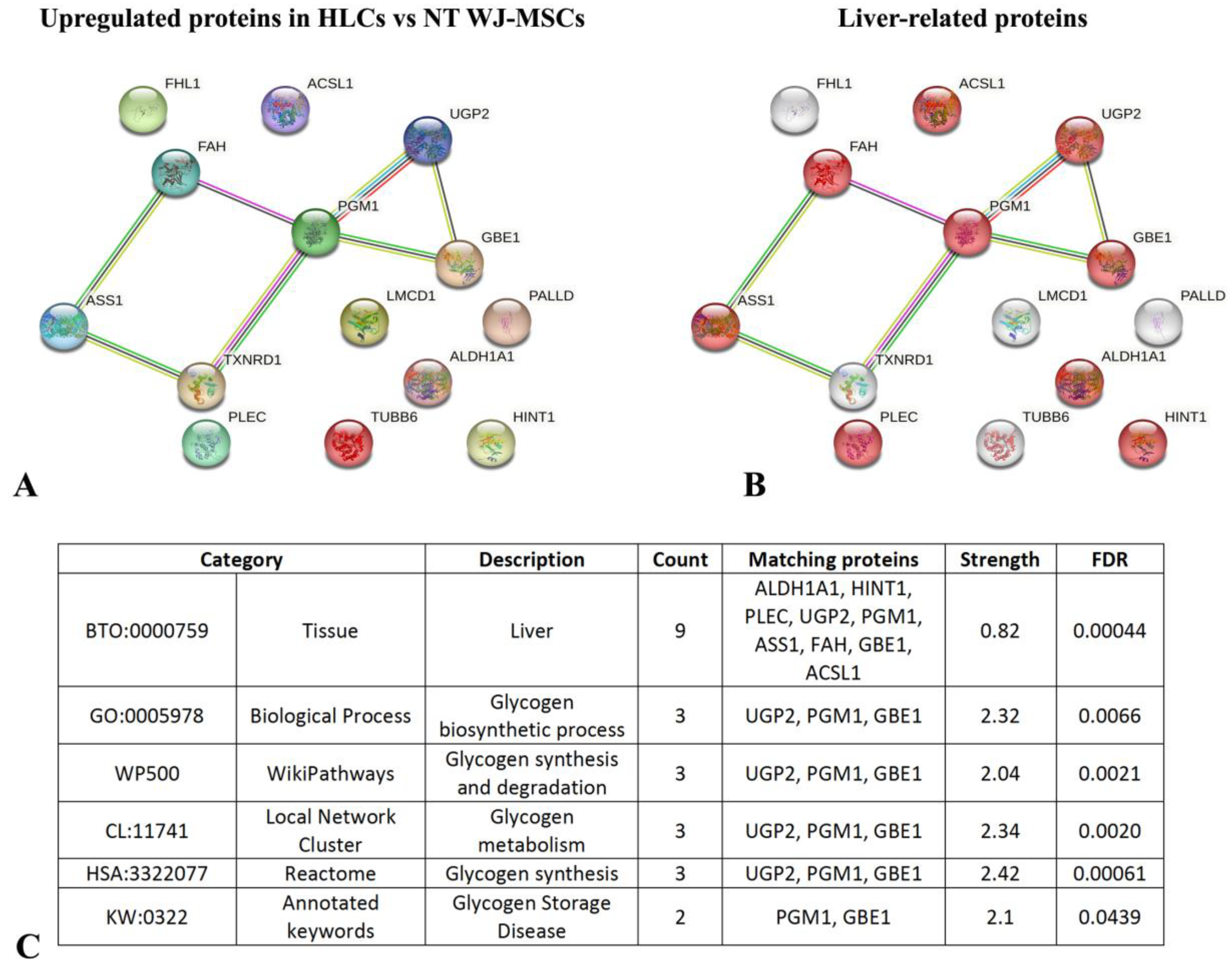 Biology 14 00124 g017 Biology 14 00124 g017