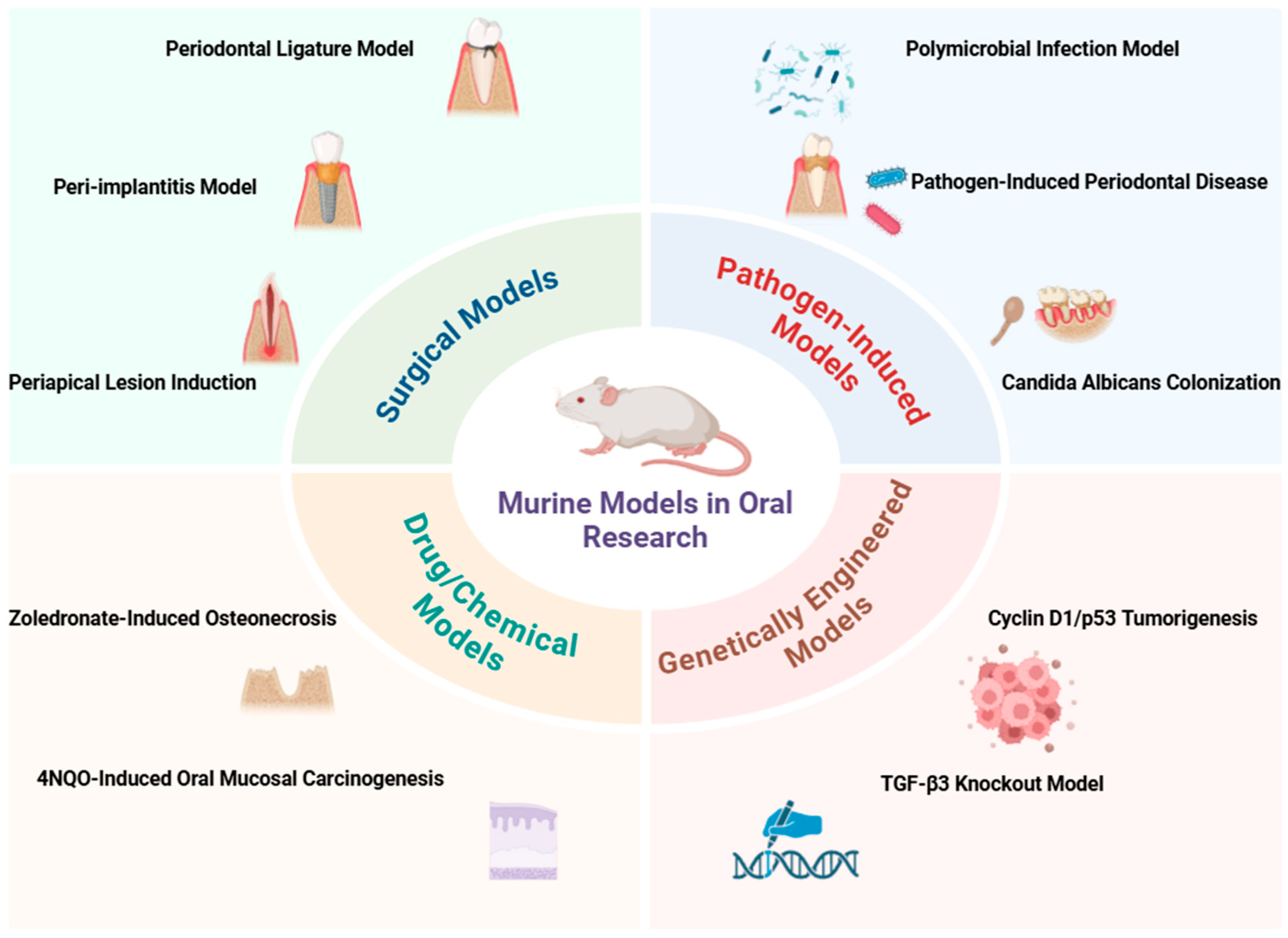 Biology 14 00127 g001 Biology 14 00127 g001