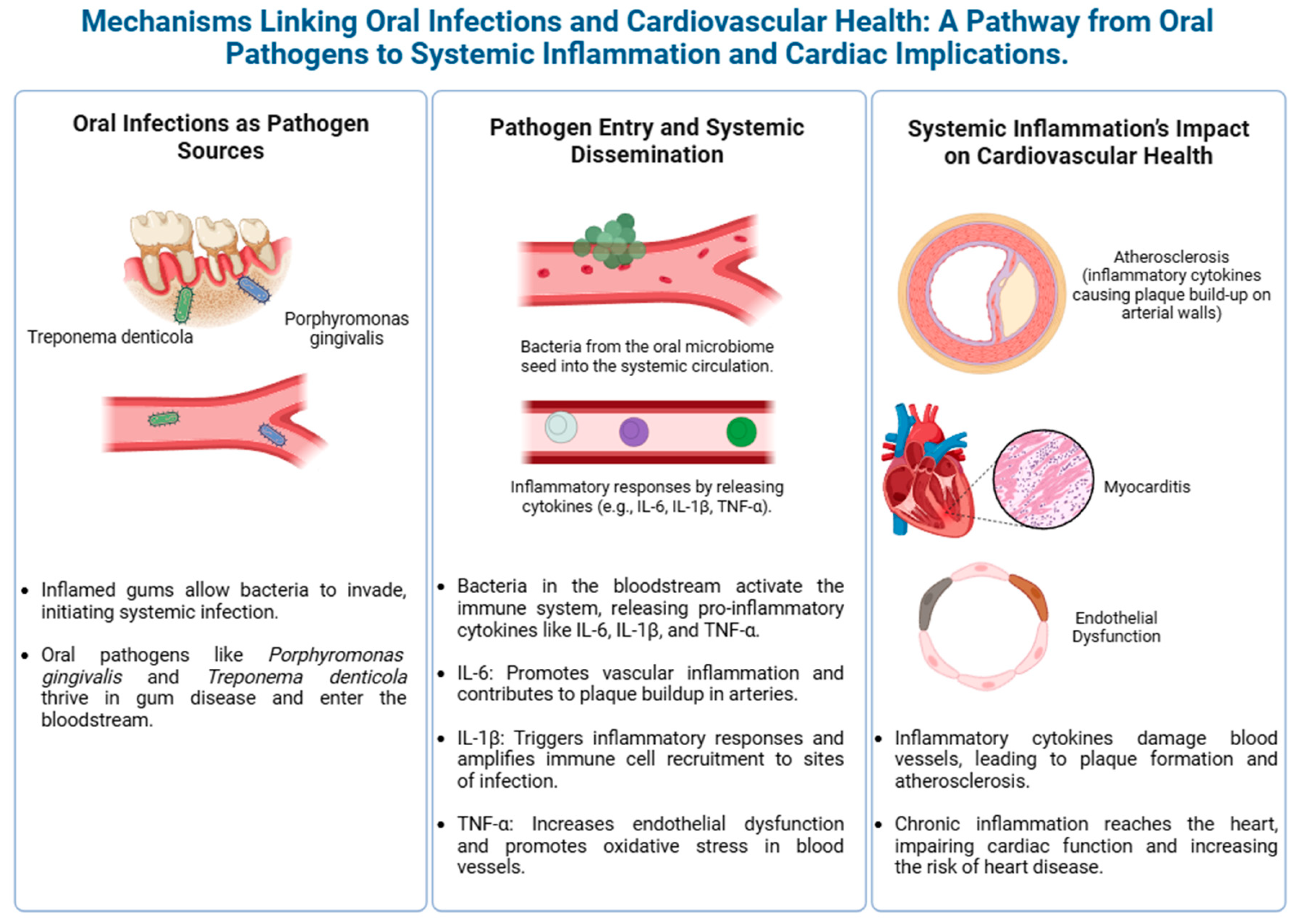 Biology 14 00127 g002 Biology 14 00127 g002