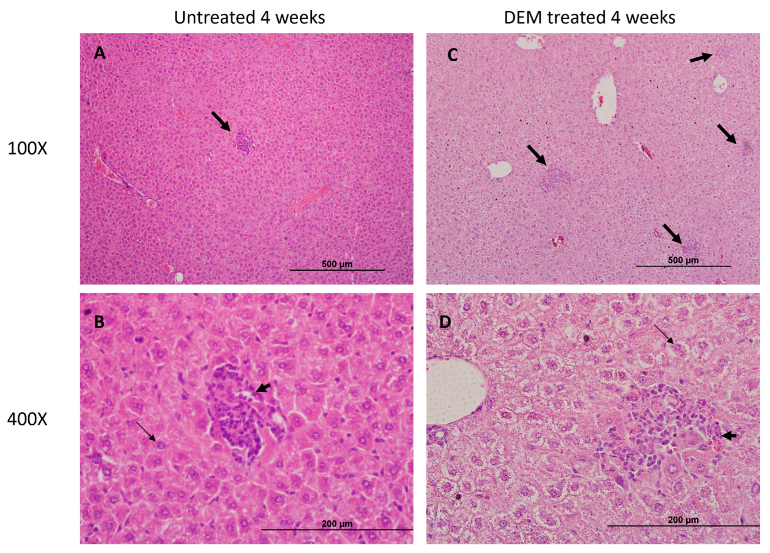 Biology 14 00131 g008