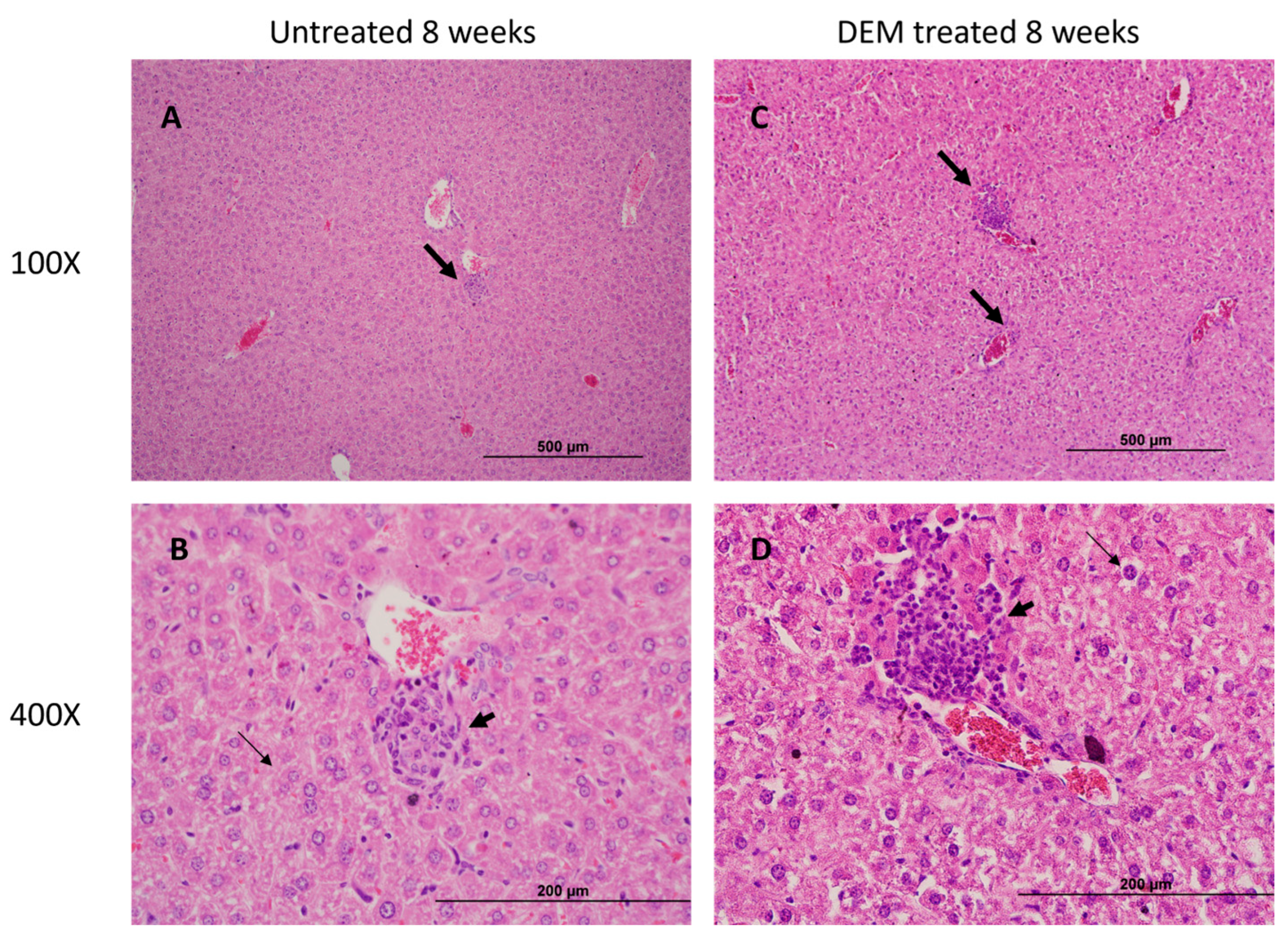Biology 14 00131 g009