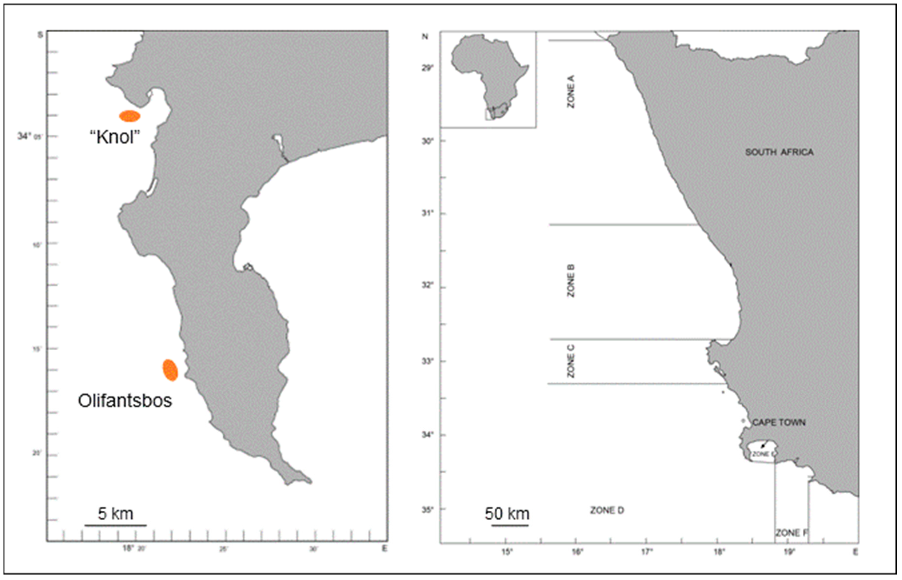 Biology 14 00132 g001