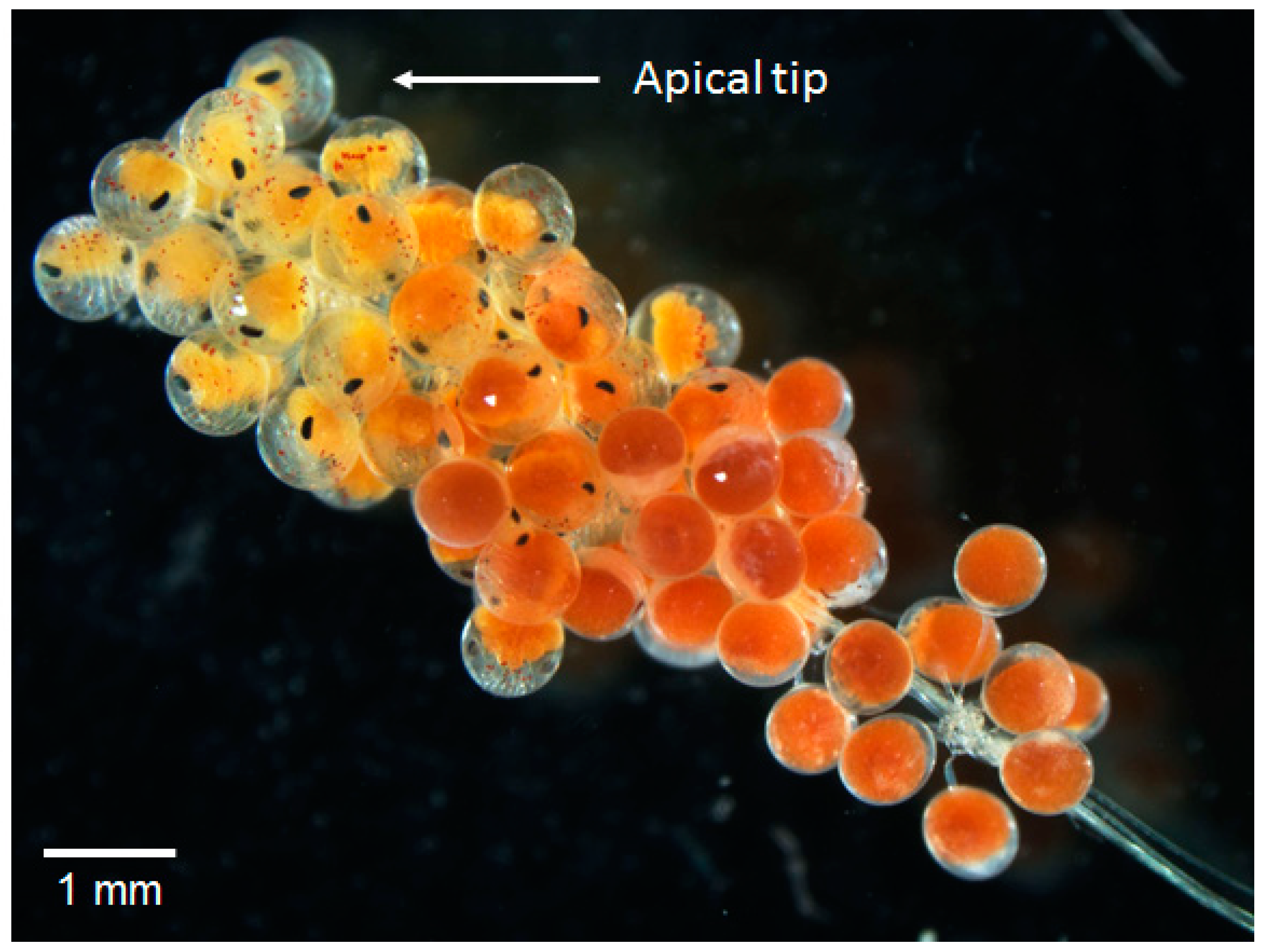 Biology 14 00132 g002