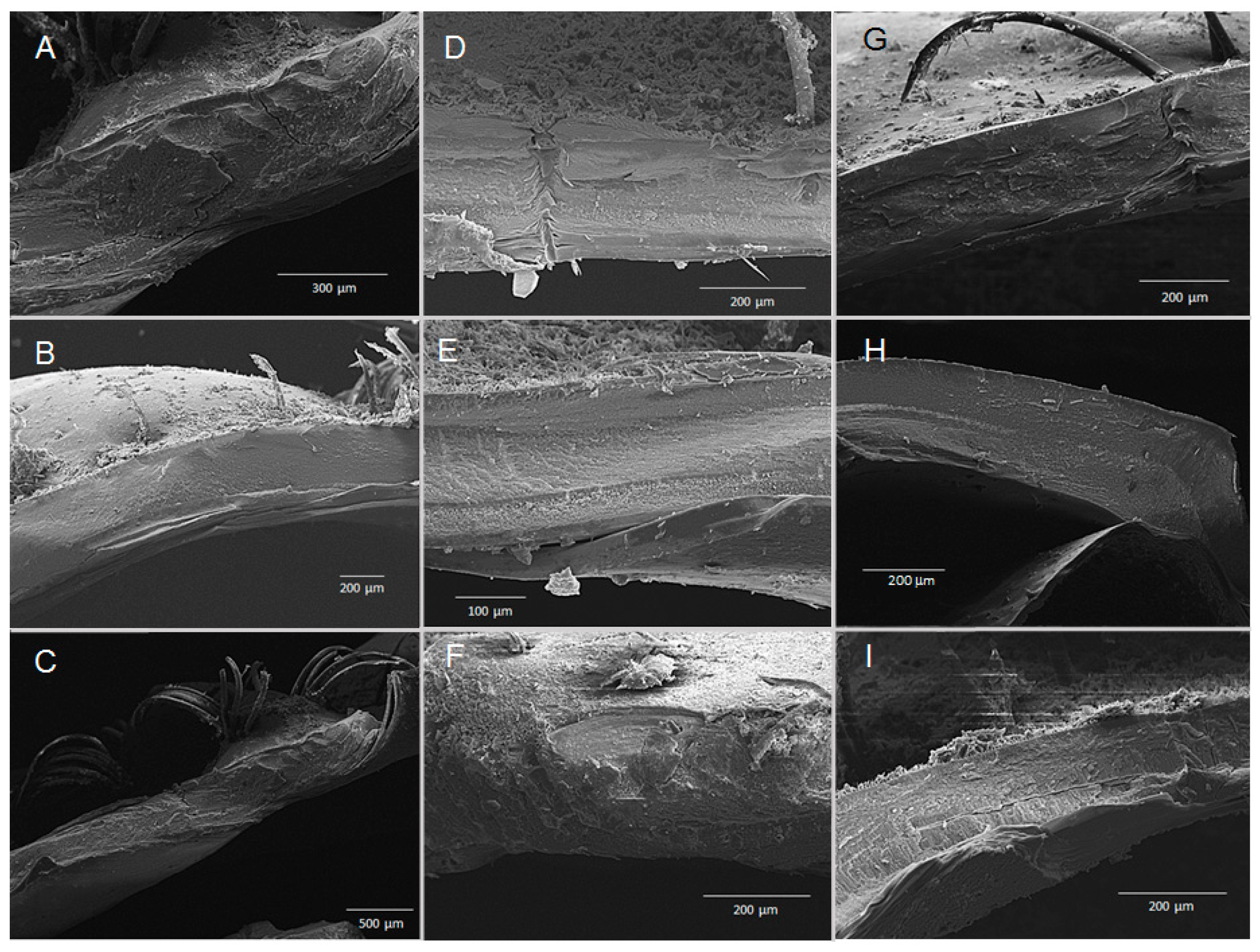 Biology 14 00132 g009