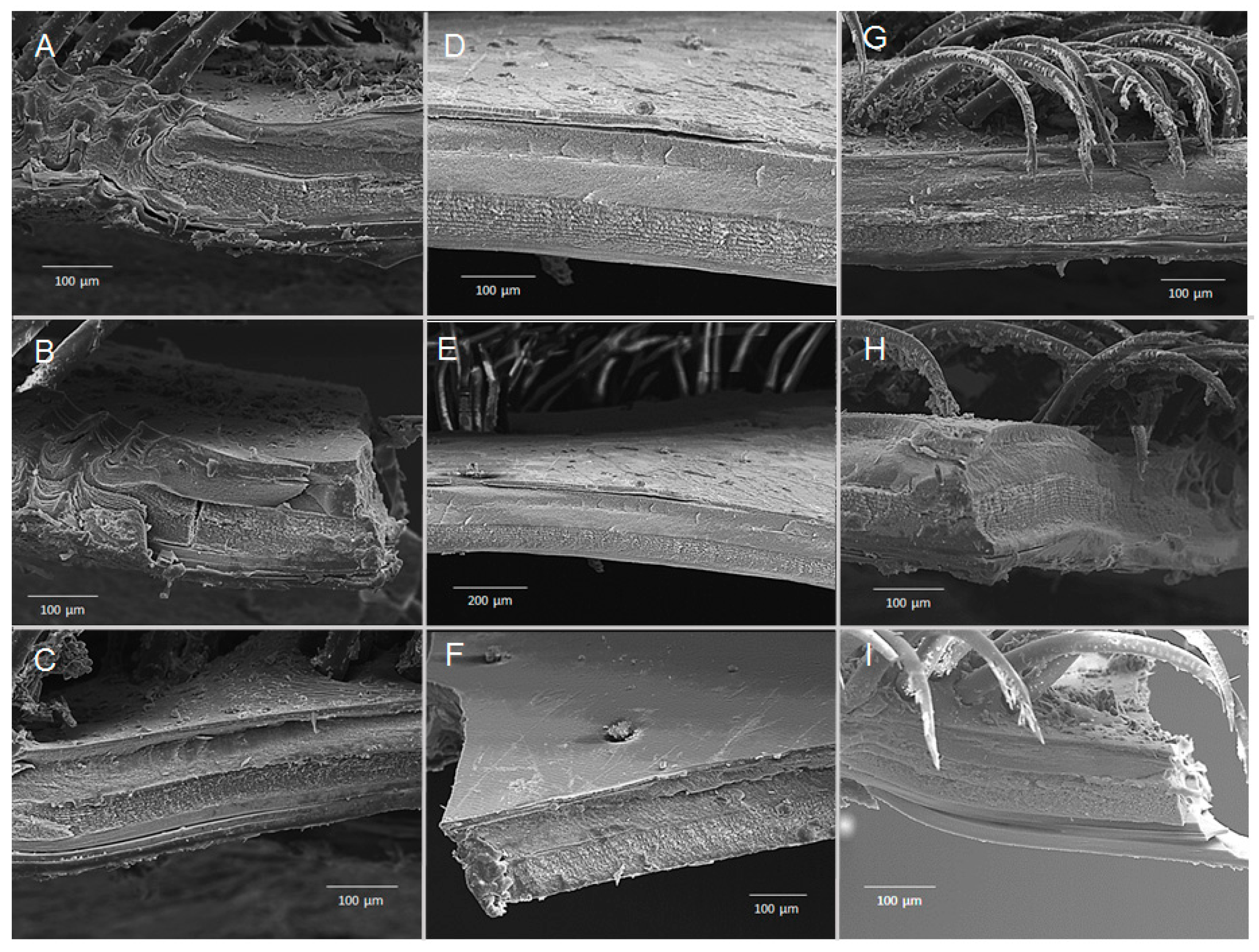 Biology 14 00132 g010