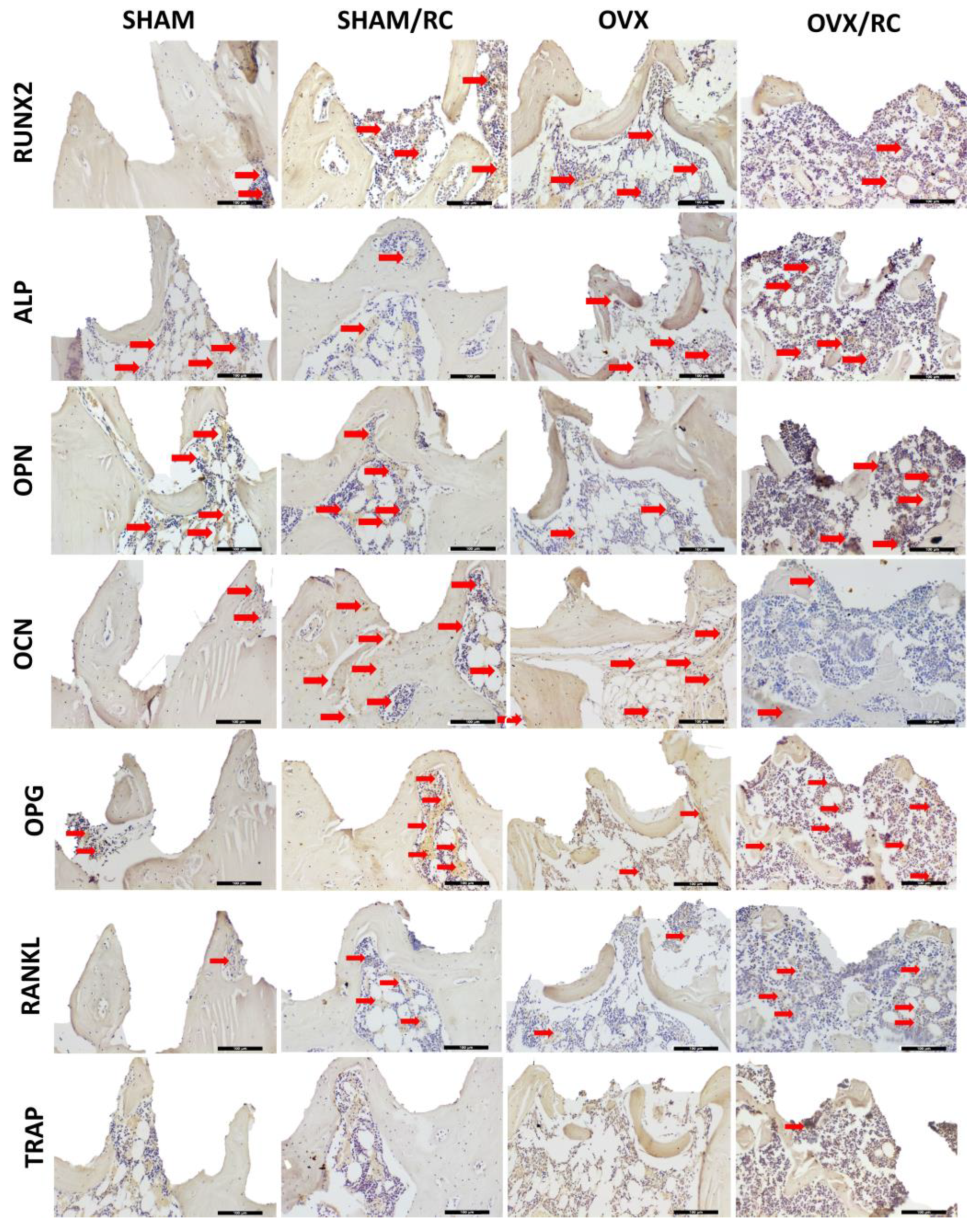 Biology 14 00139 g007
