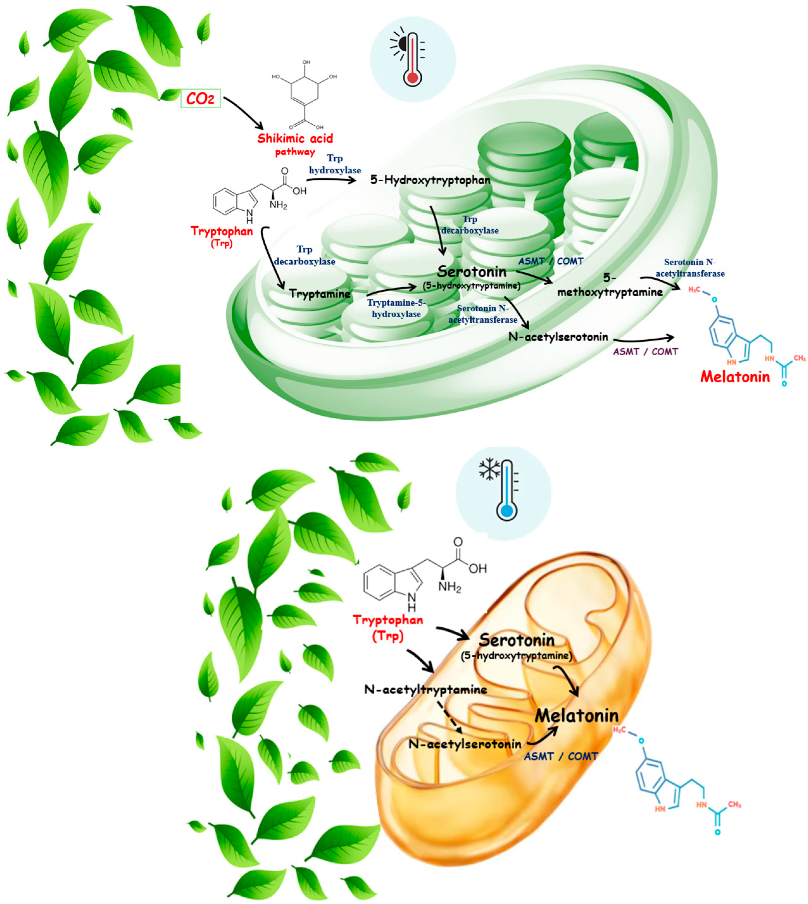 Biology 14 00143 g002