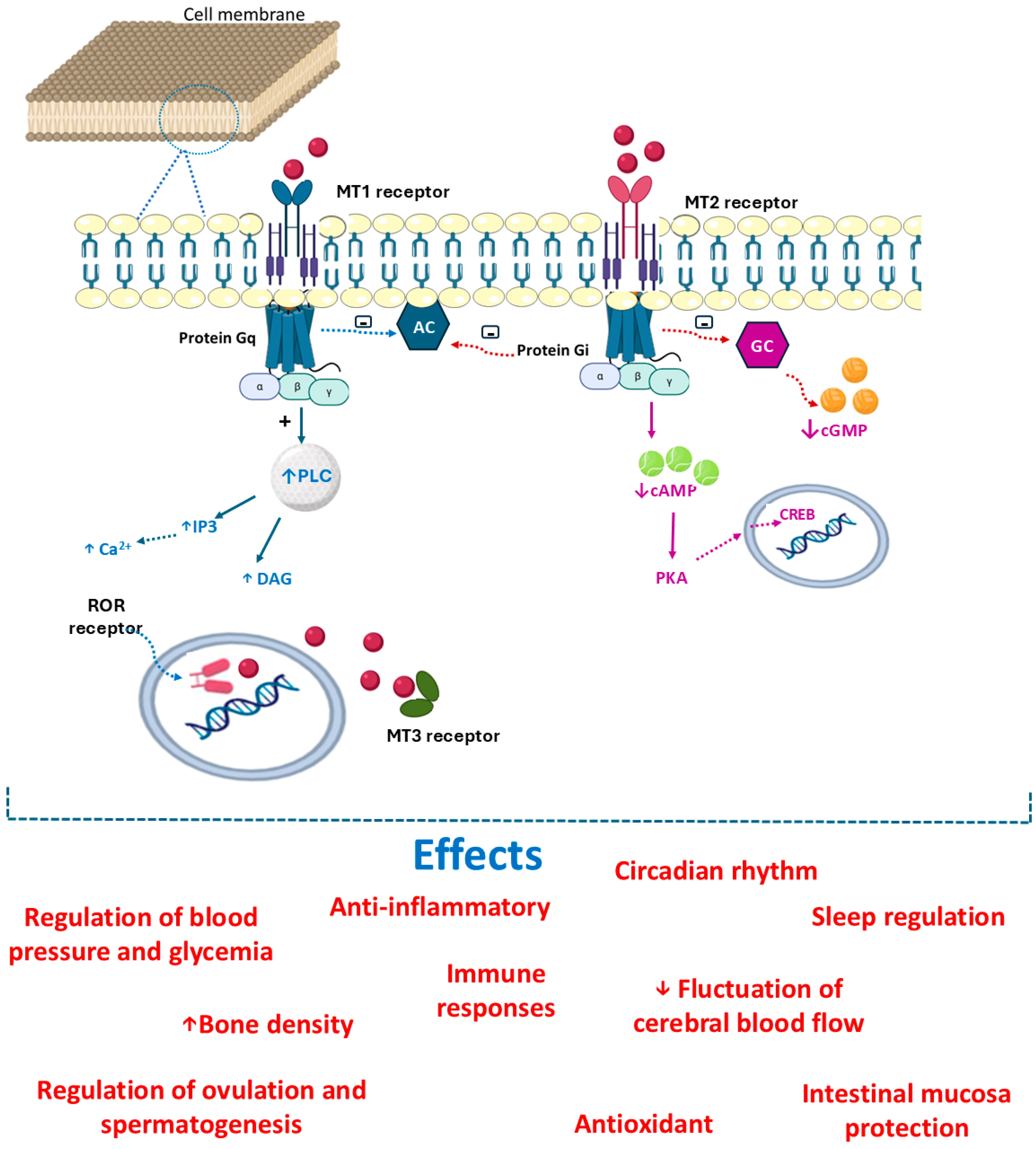 Biology 14 00143 g003