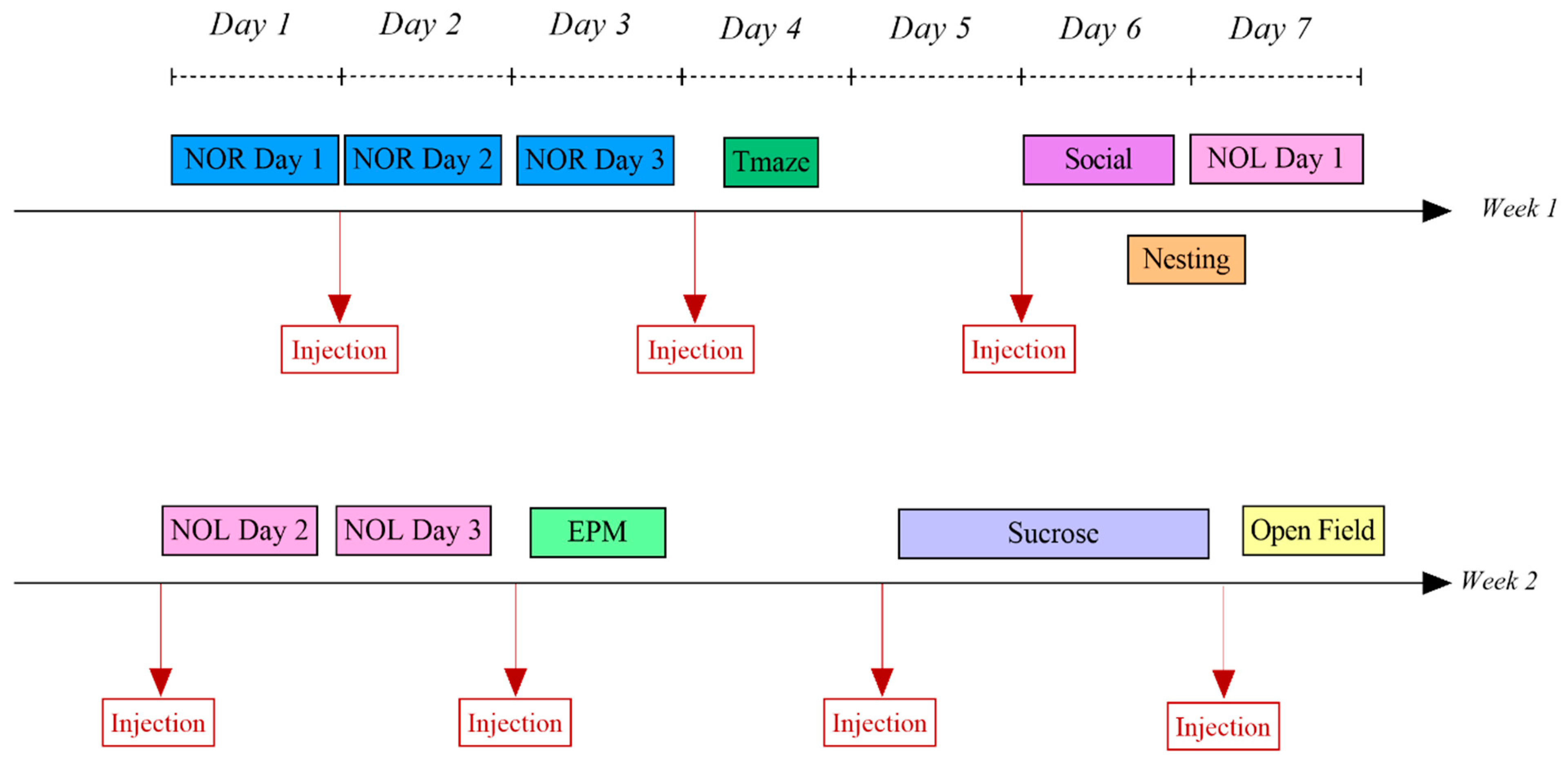 Biology 14 00149 g001