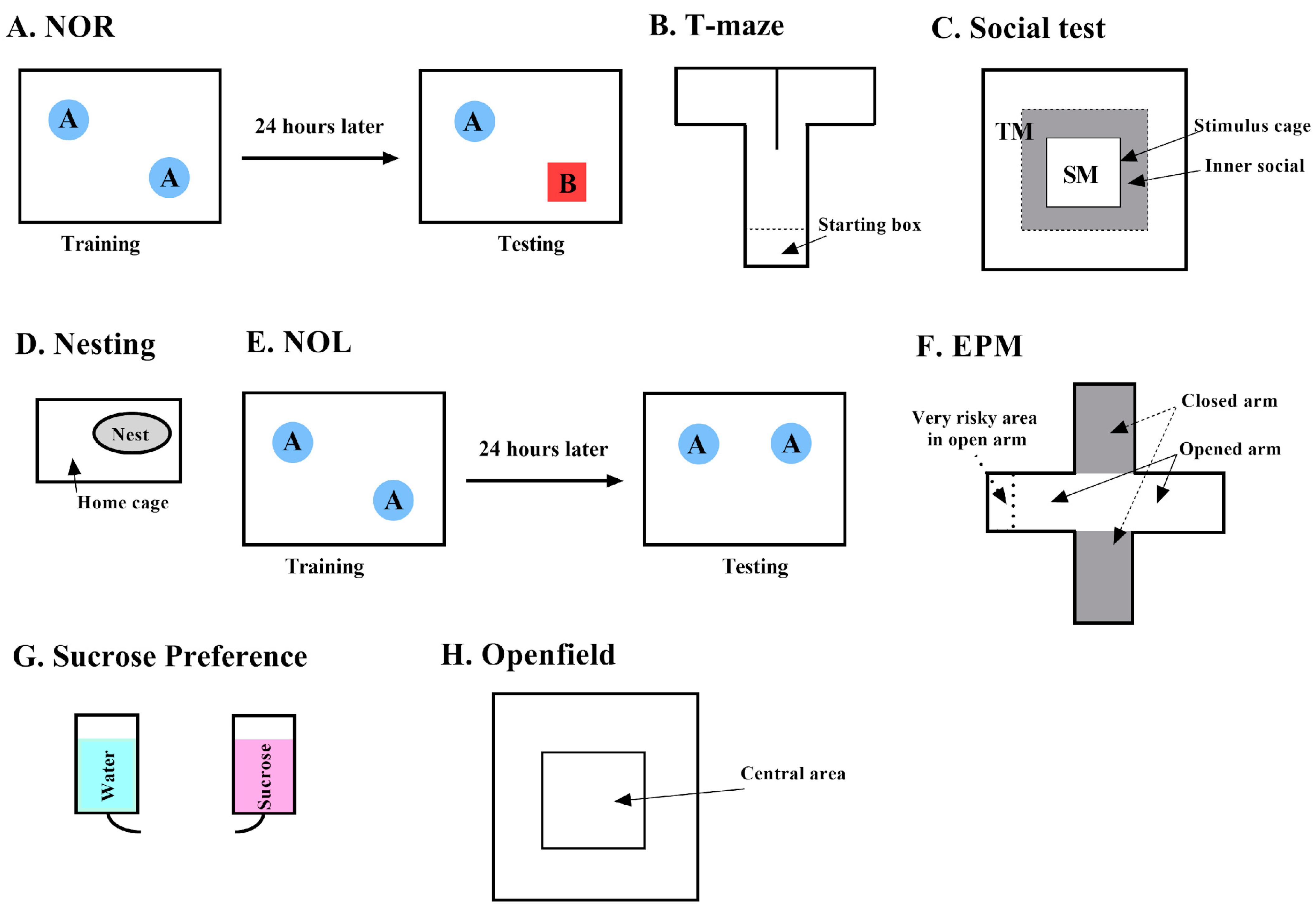 Biology 14 00149 g002