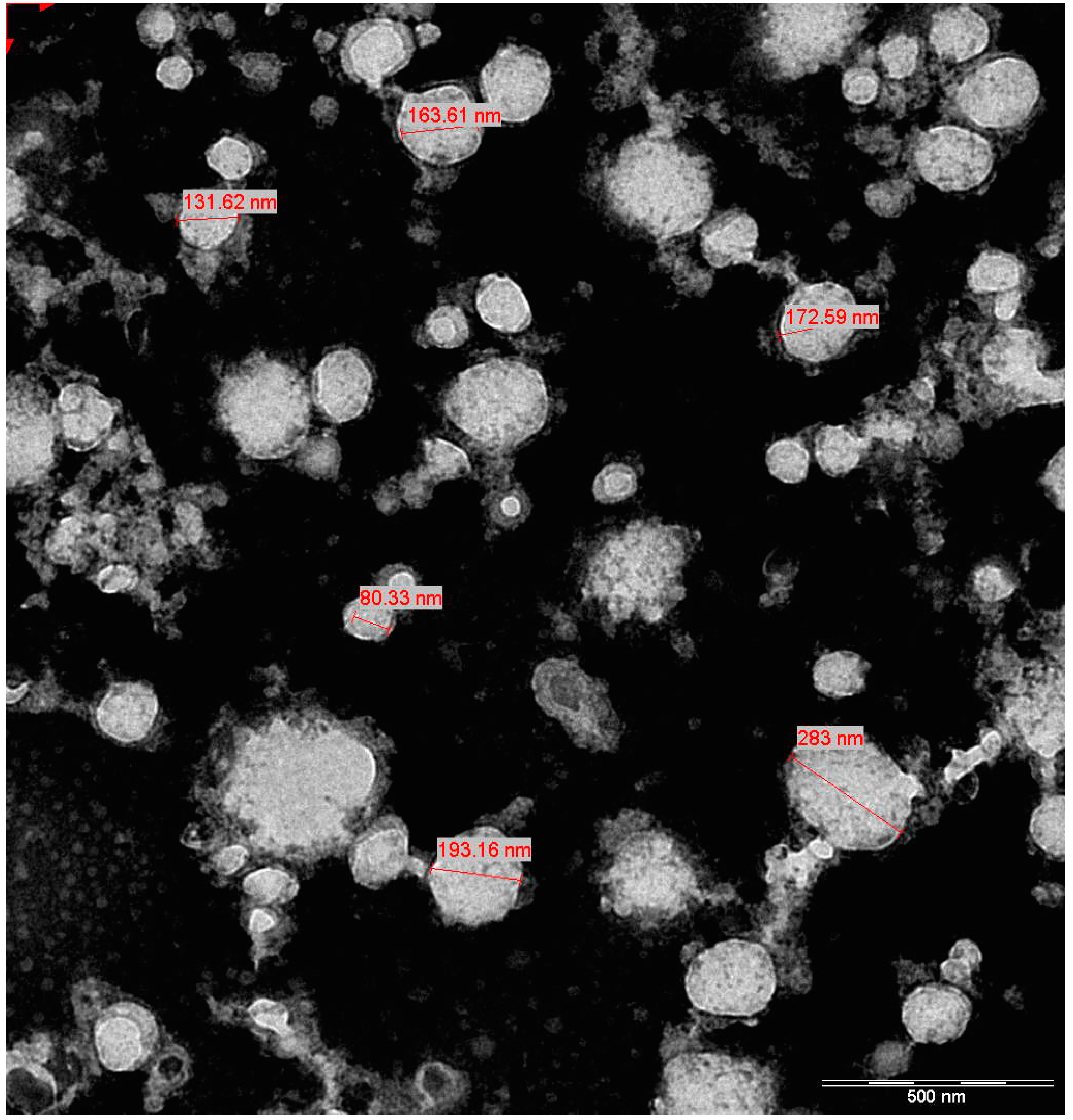Biology 14 00150 g002