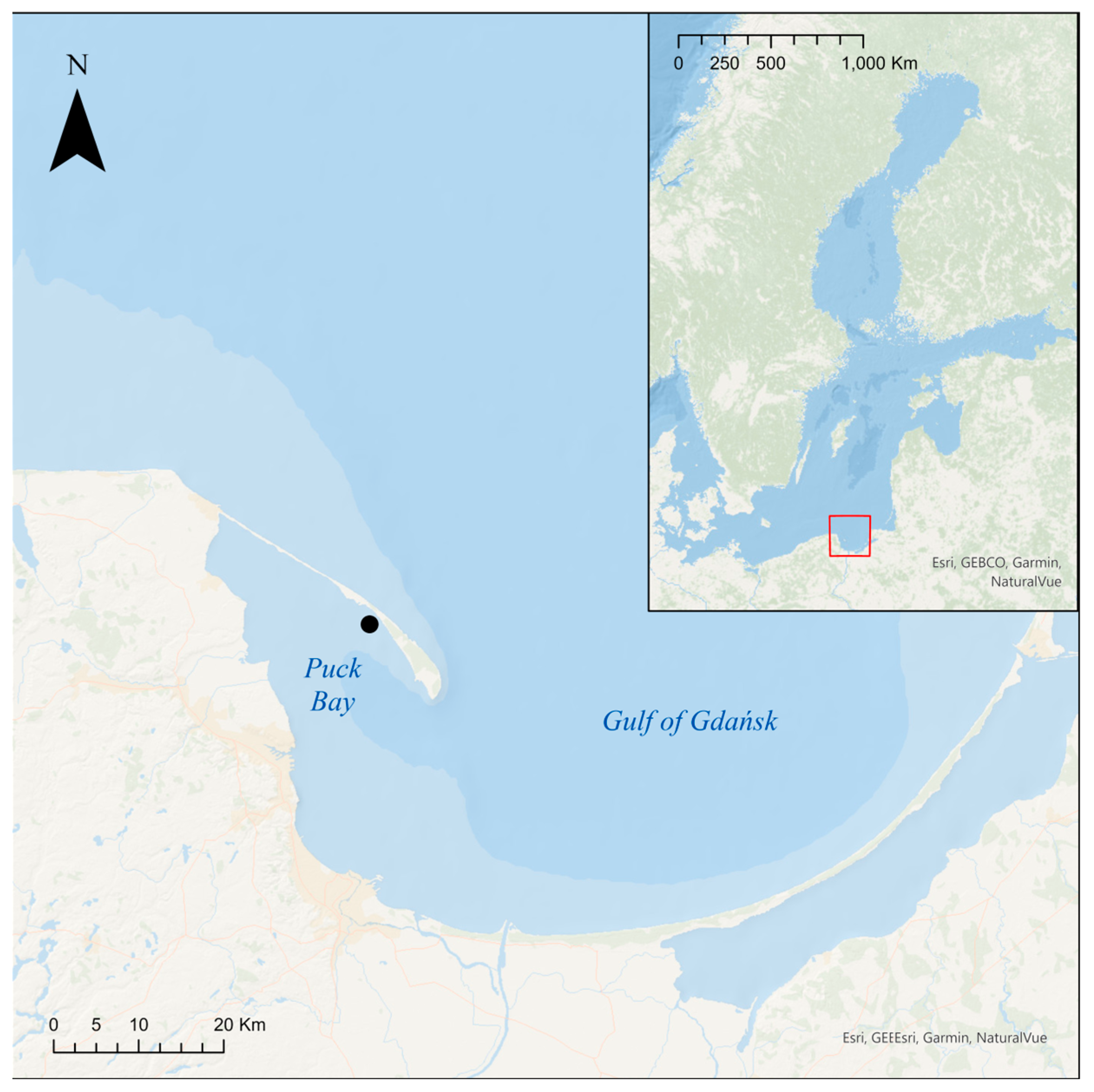 Biology 14 00153 g001