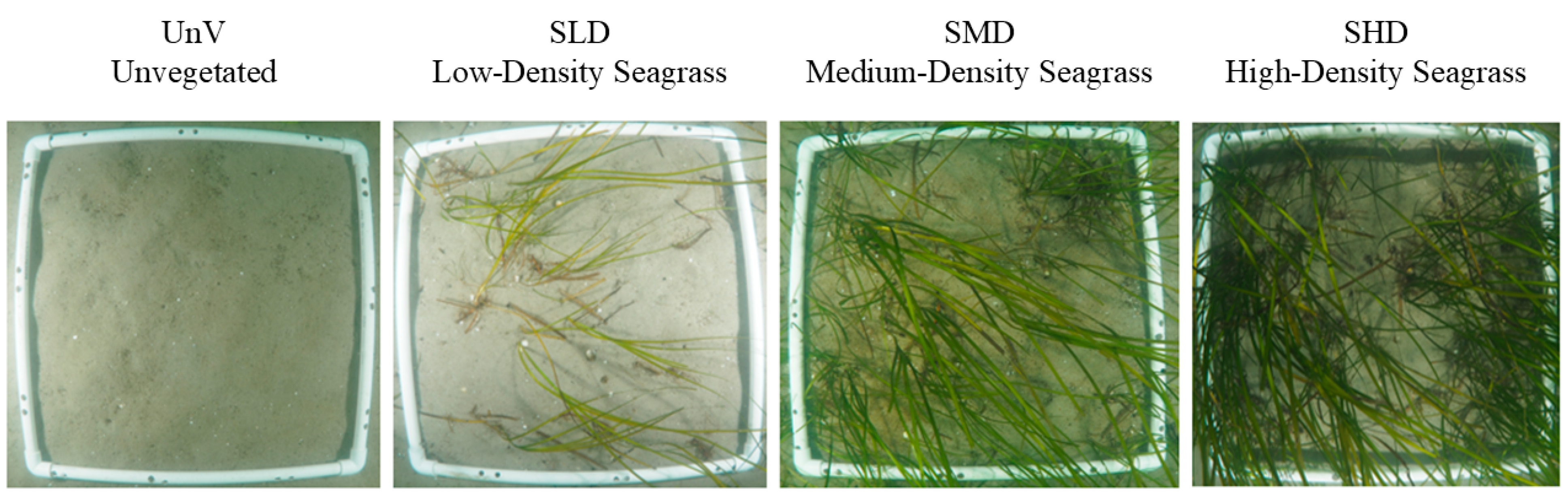 Biology 14 00153 g002