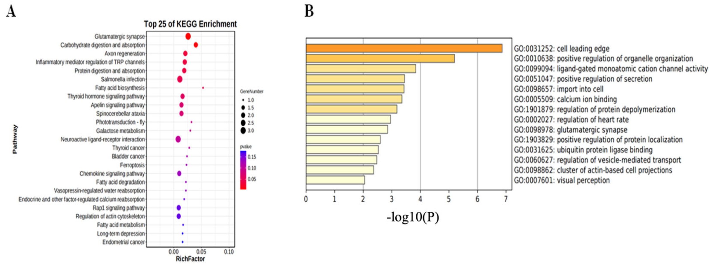 Biology 14 00154 g005
