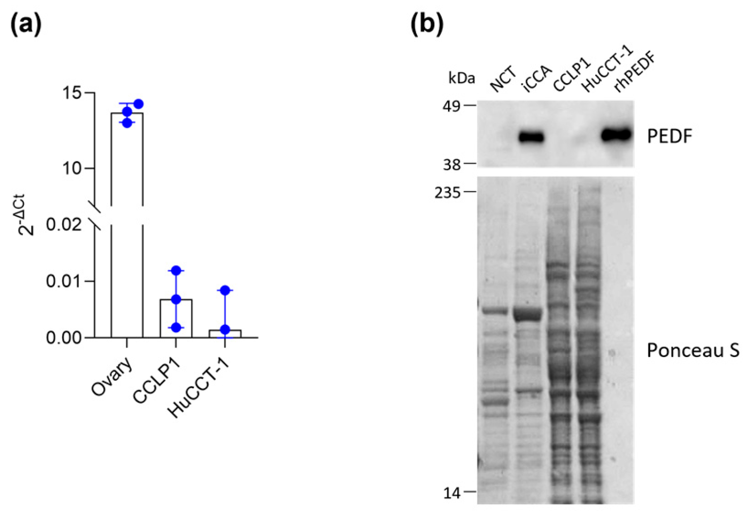 Biology 14 00155 g001 Biology 14 00155 g001