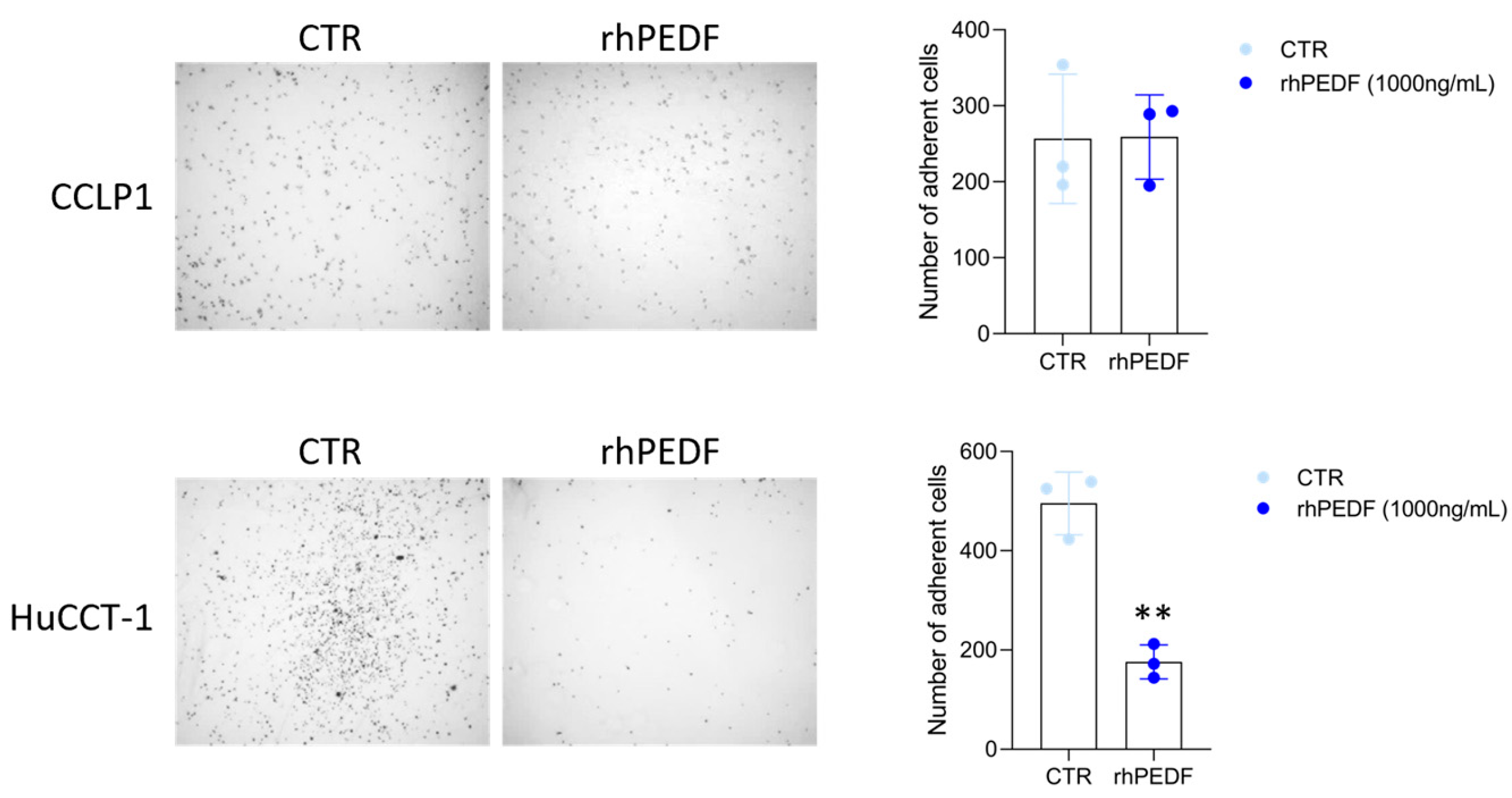 Biology 14 00155 g003 Biology 14 00155 g003