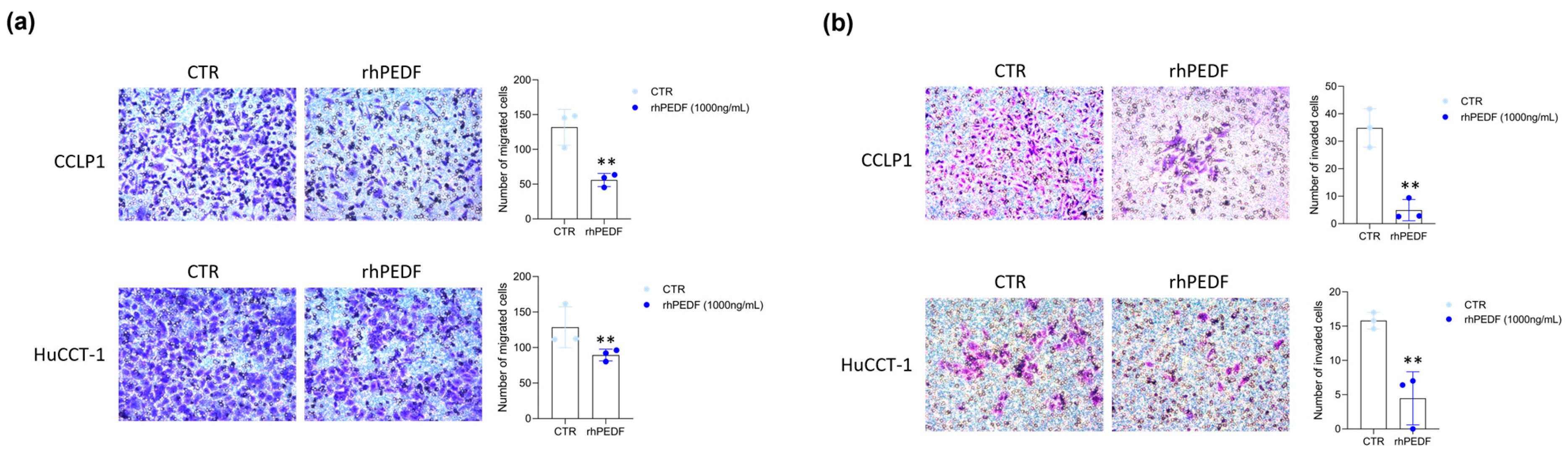Biology 14 00155 g004 Biology 14 00155 g004