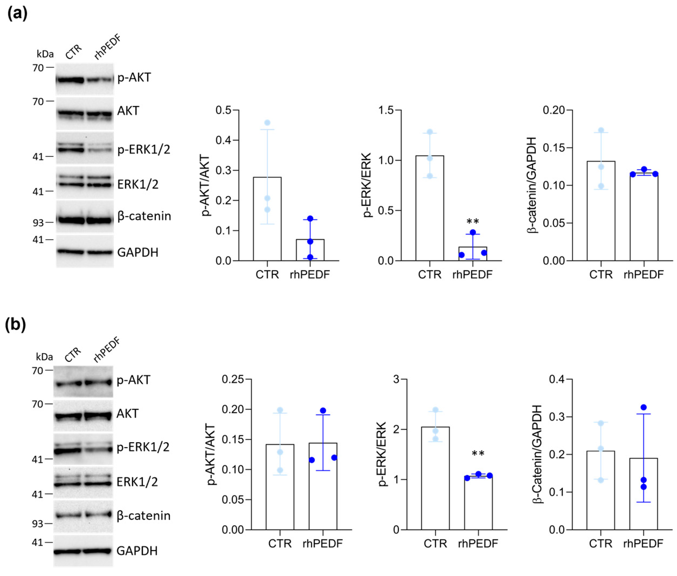 Biology 14 00155 g005 Biology 14 00155 g005