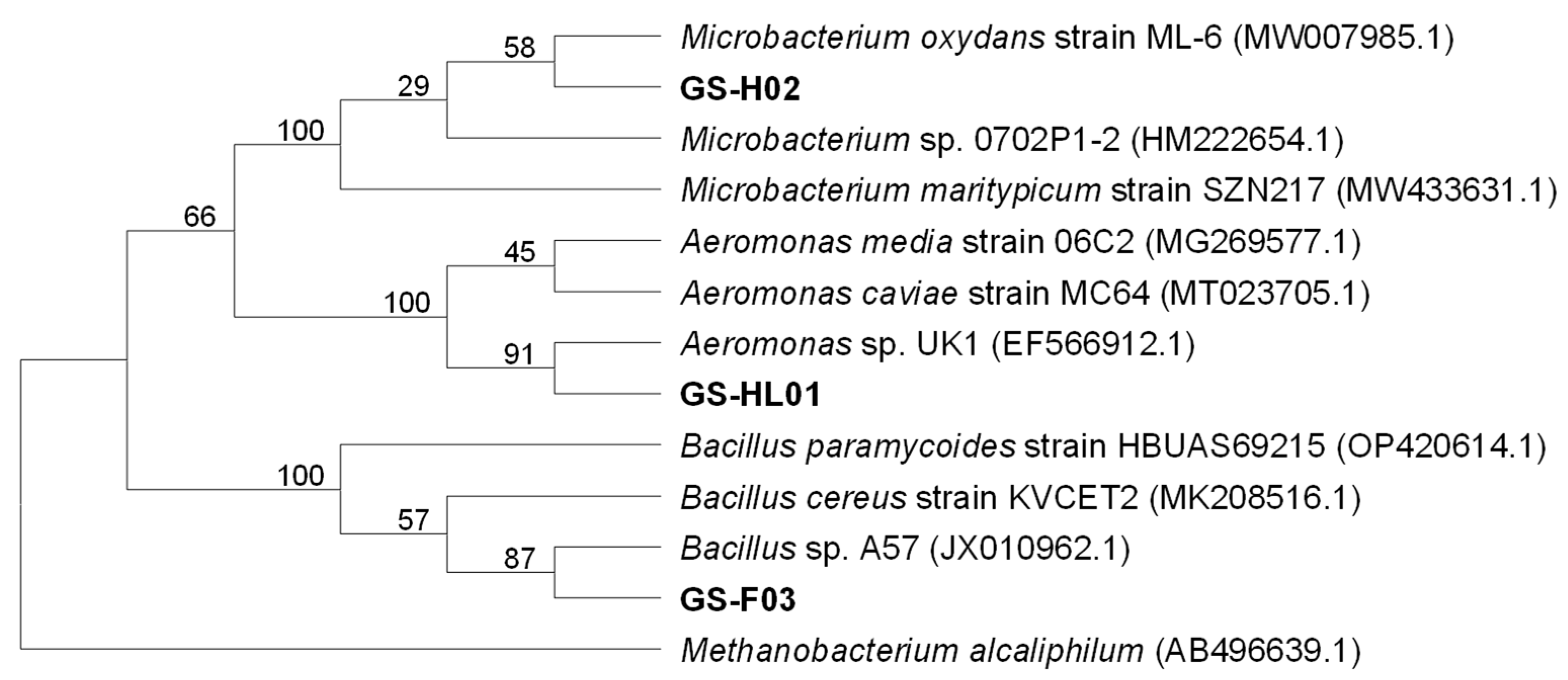 Biology 14 00157 g003