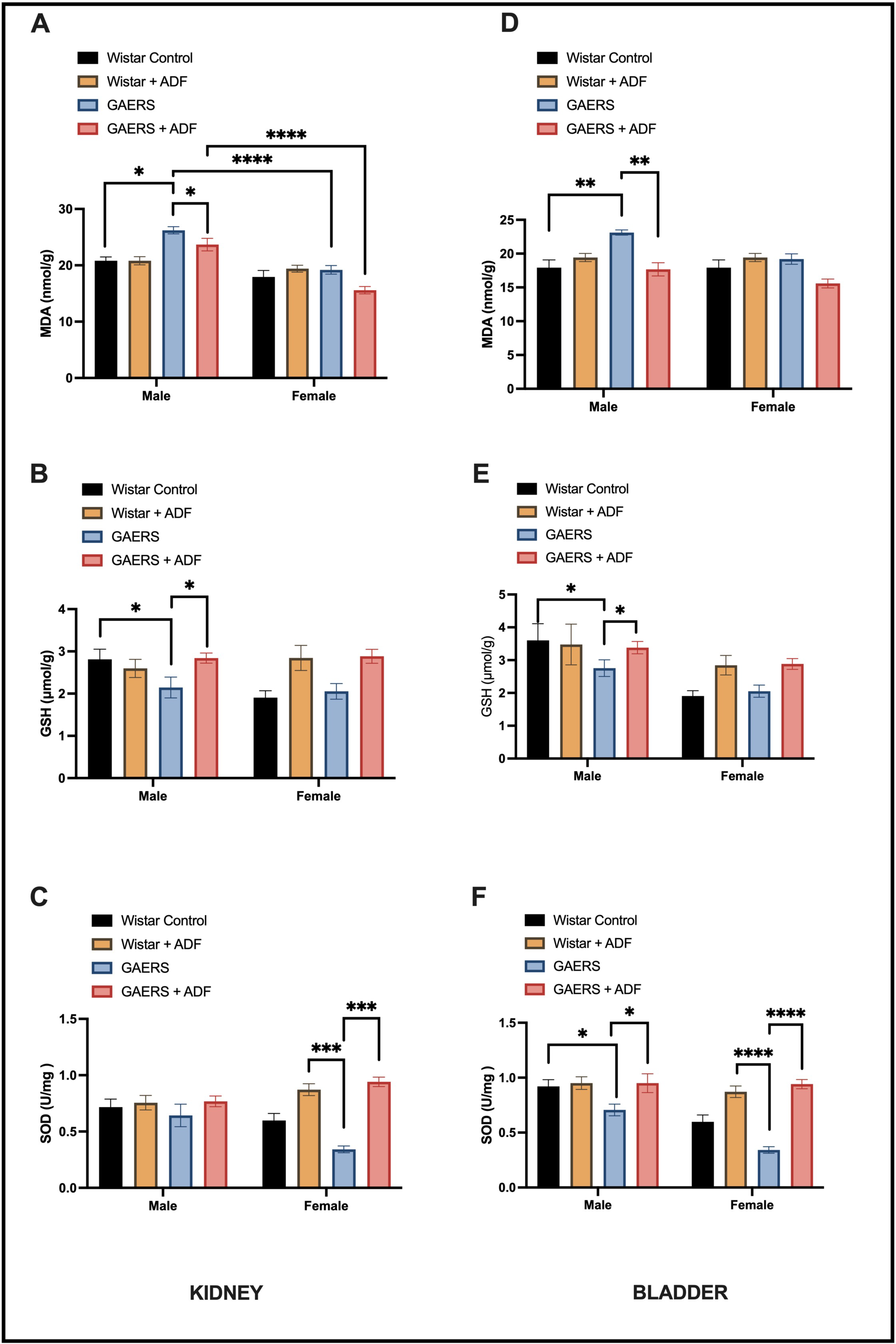 Biology 14 00158 g002