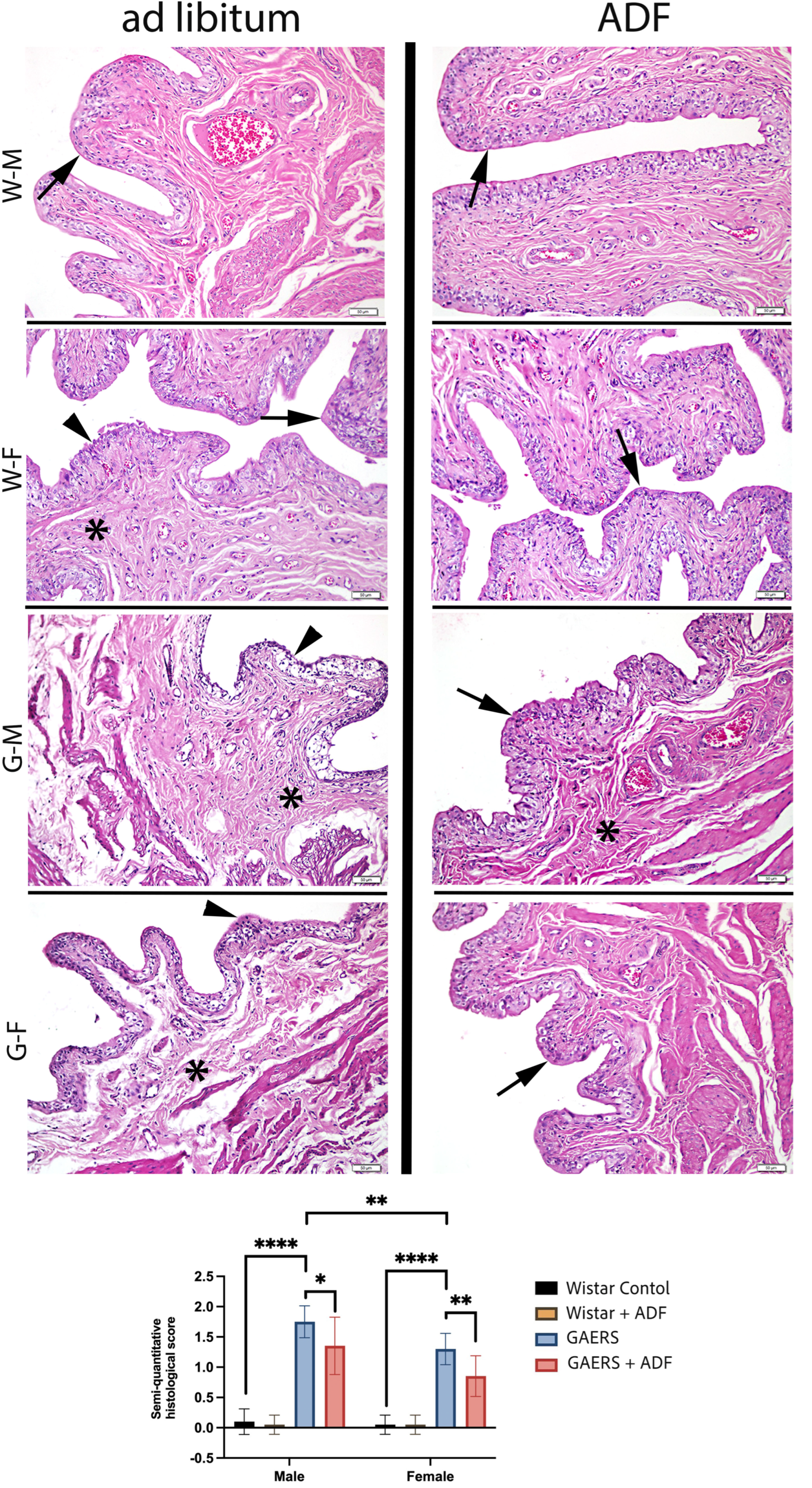 Biology 14 00158 g004