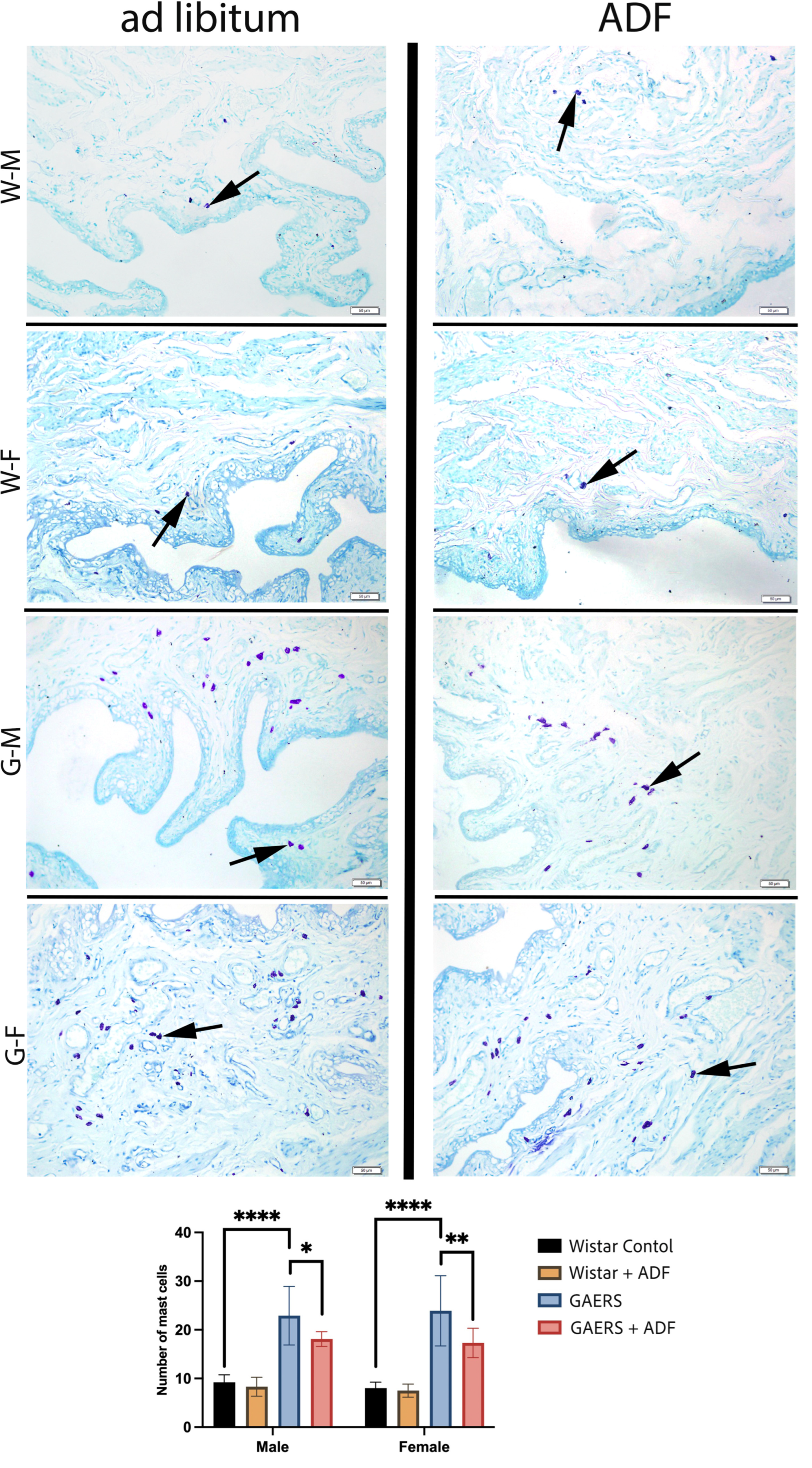 Biology 14 00158 g005
