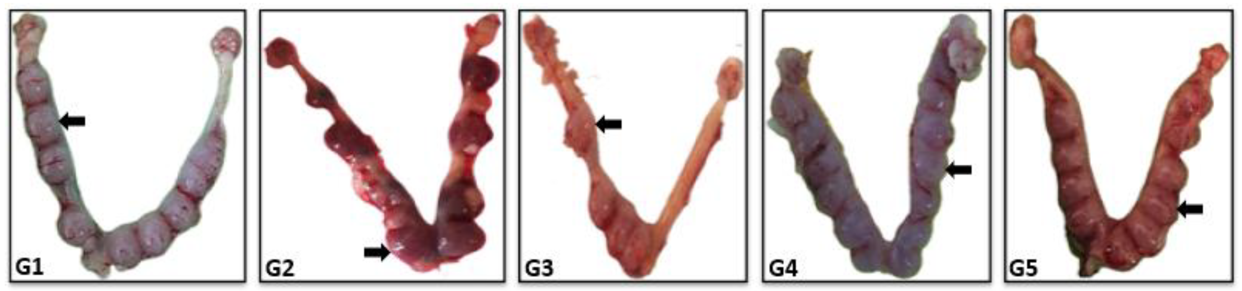 Biology 14 00159 g003