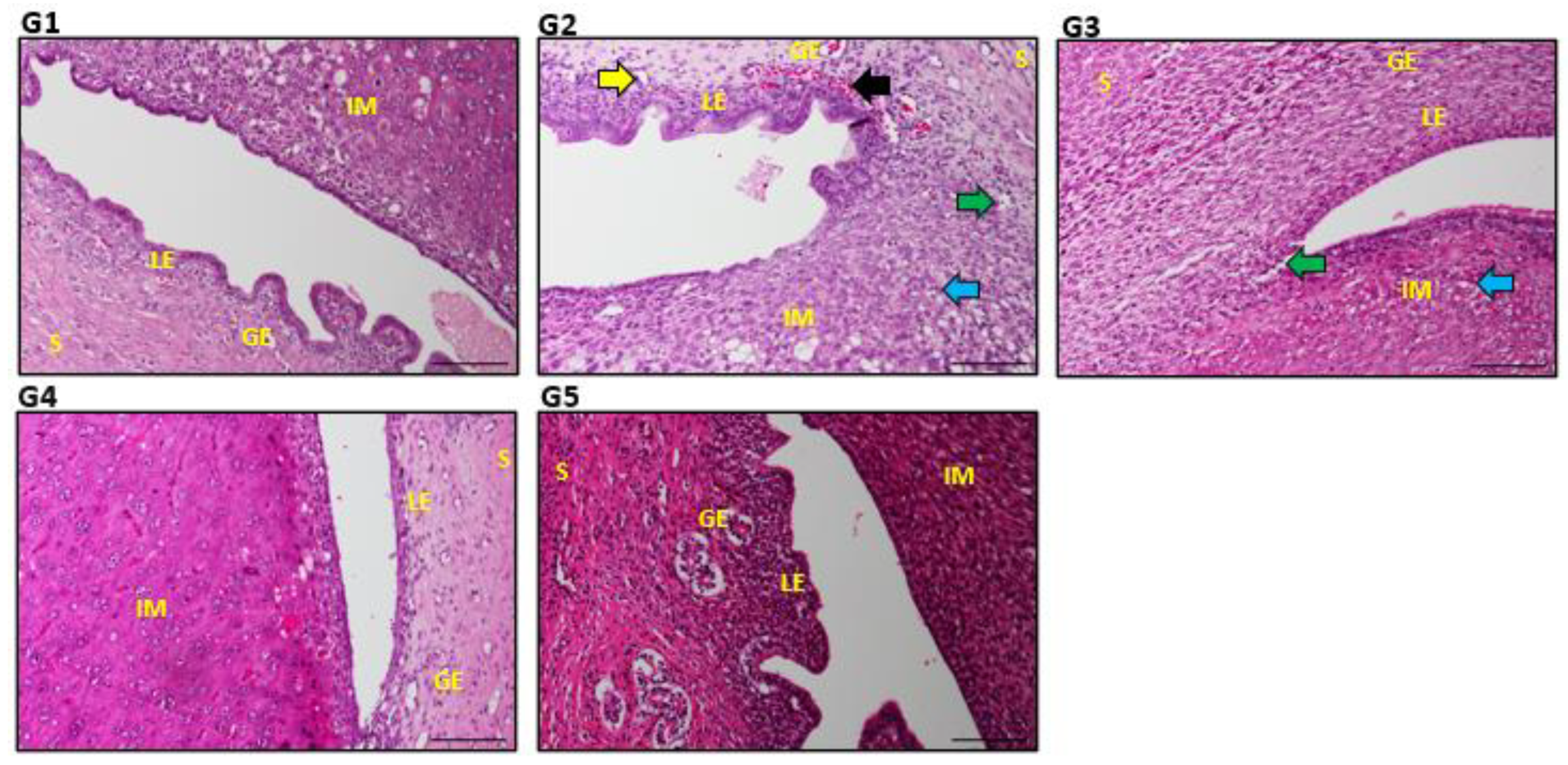 Biology 14 00159 g005