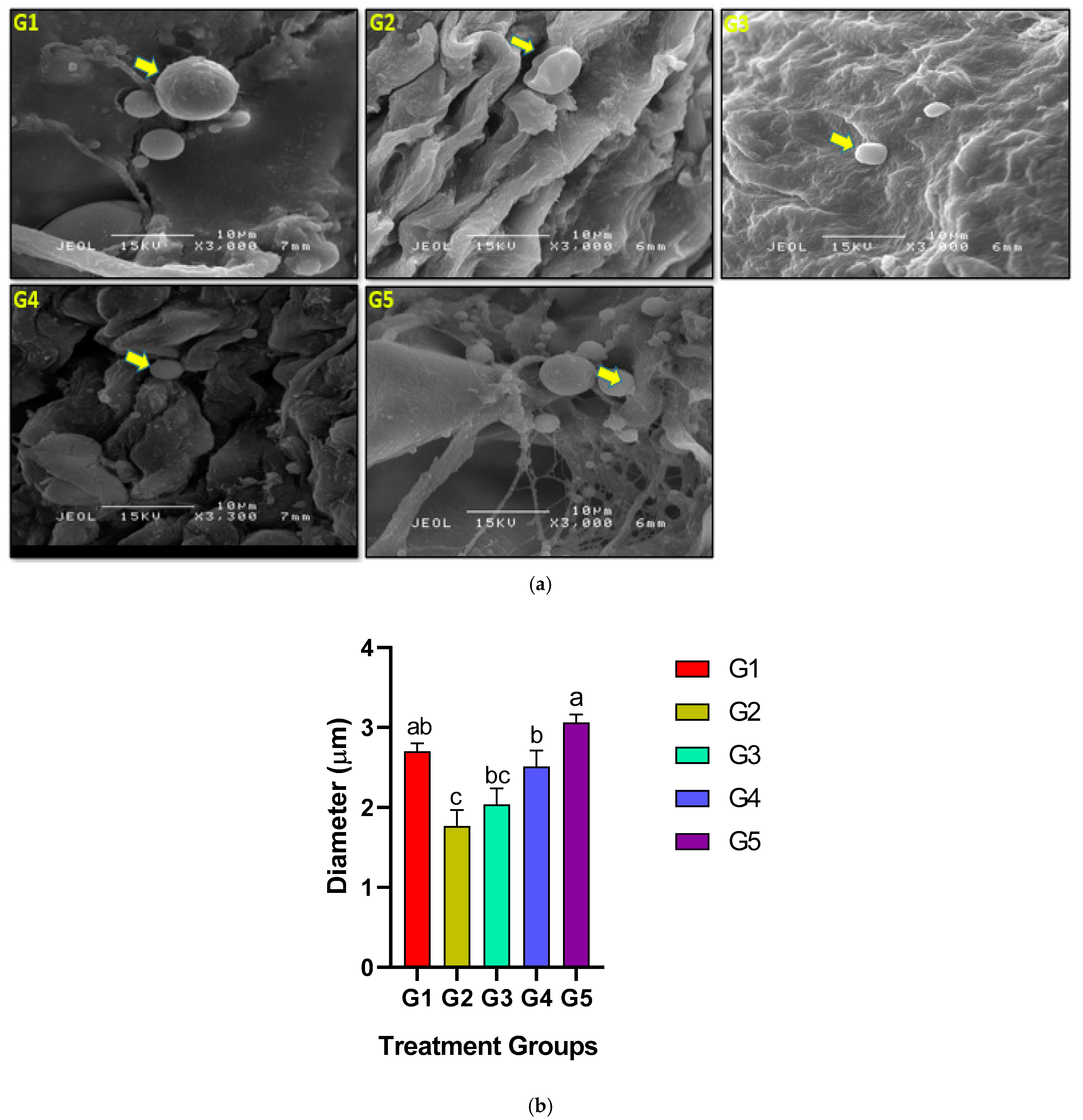 Biology 14 00159 g006