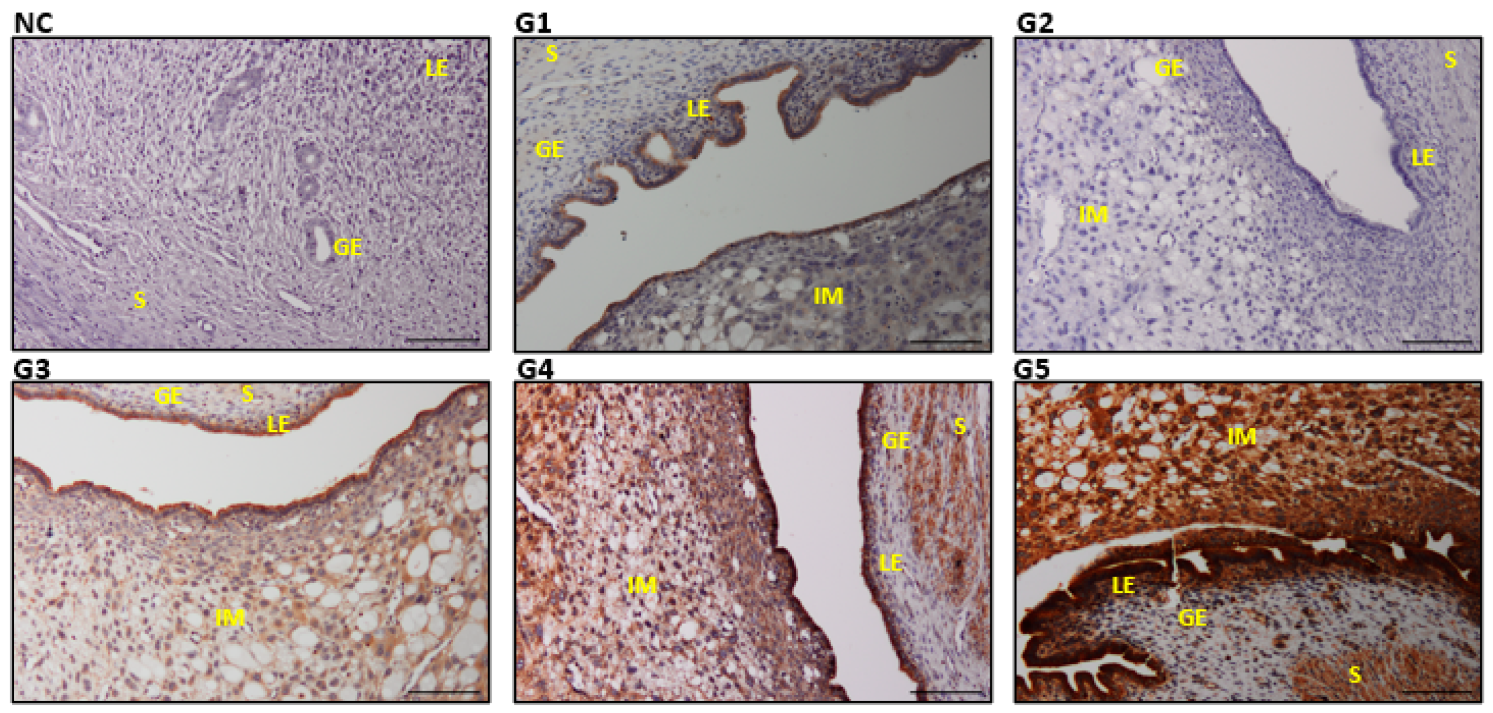 Biology 14 00159 g008
