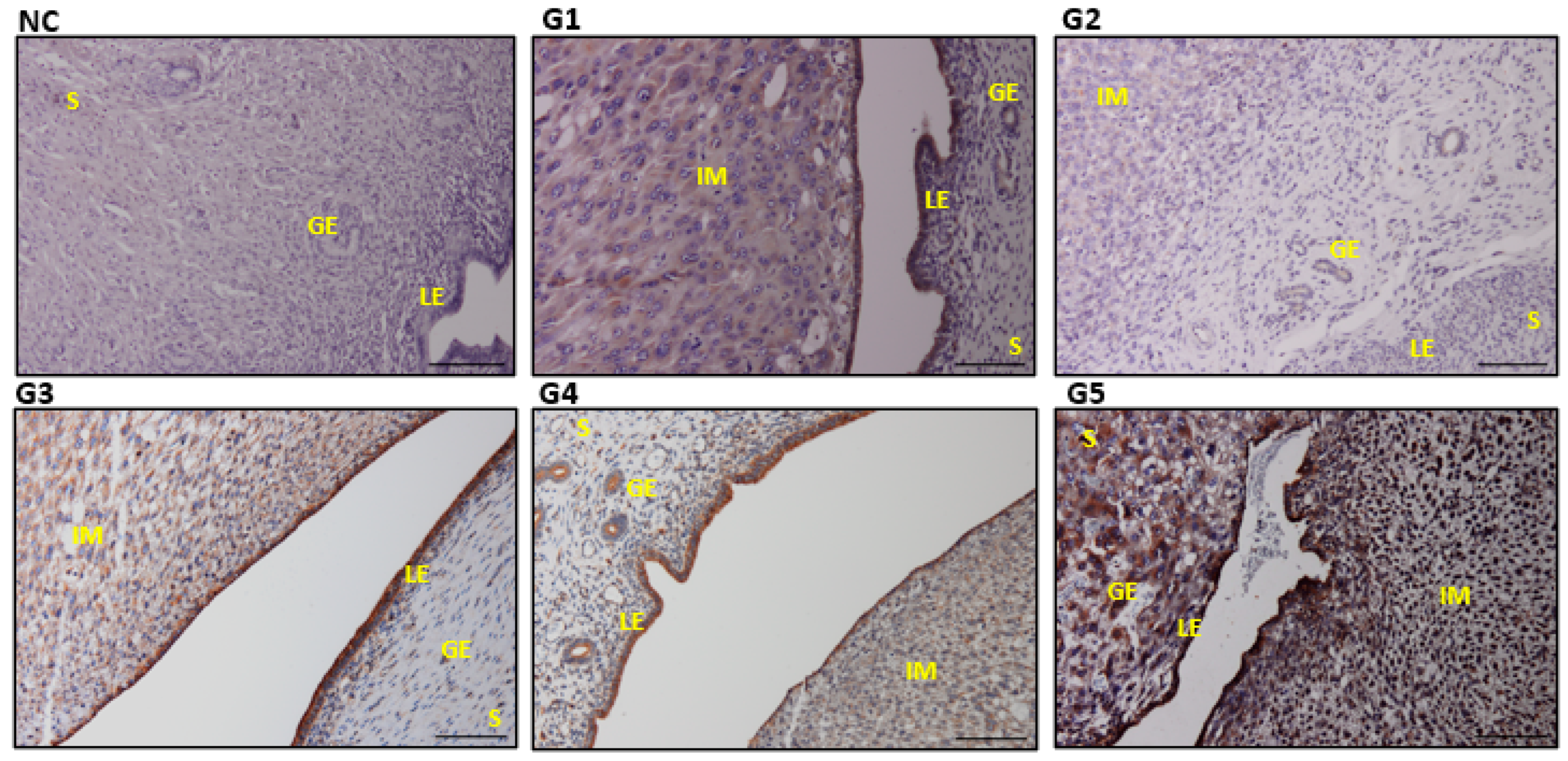 Biology 14 00159 g009