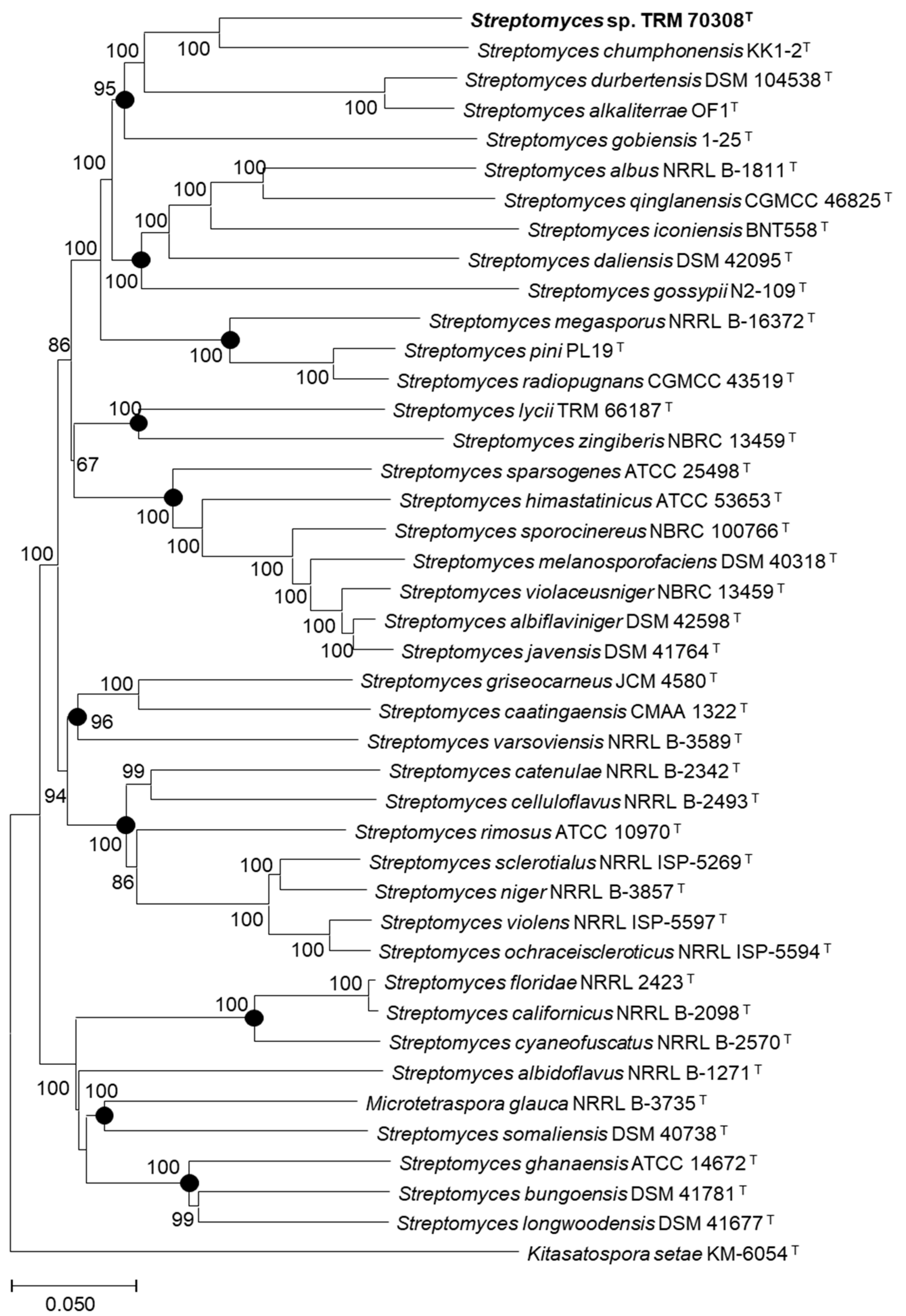 Biology 14 00164 g002