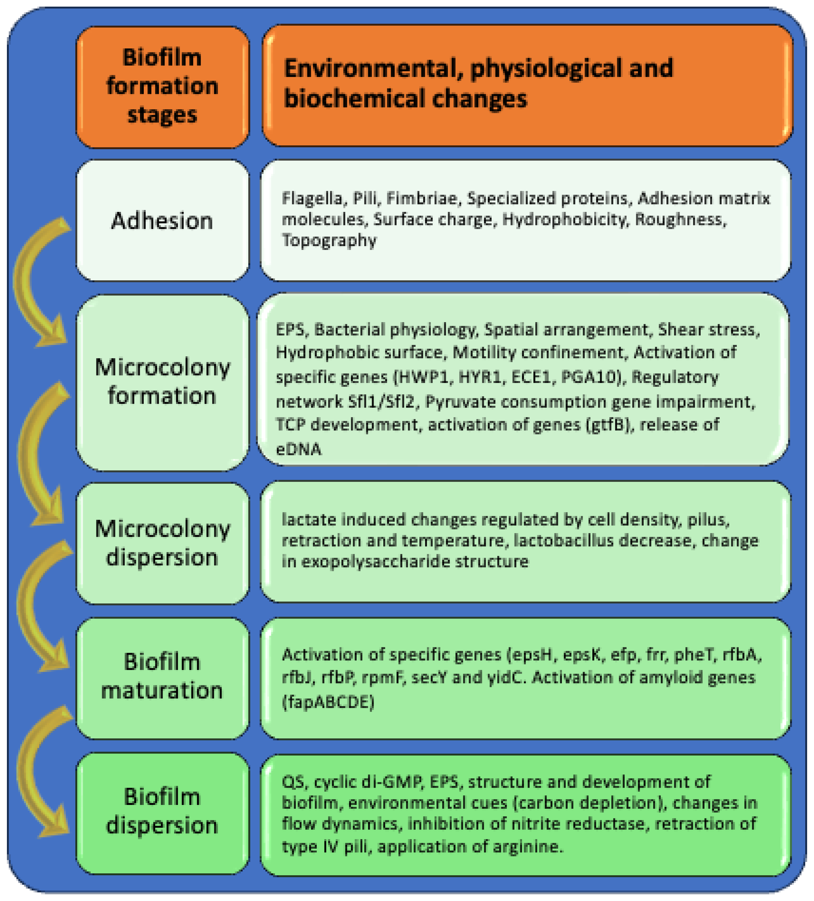 Biology 14 00165 g002