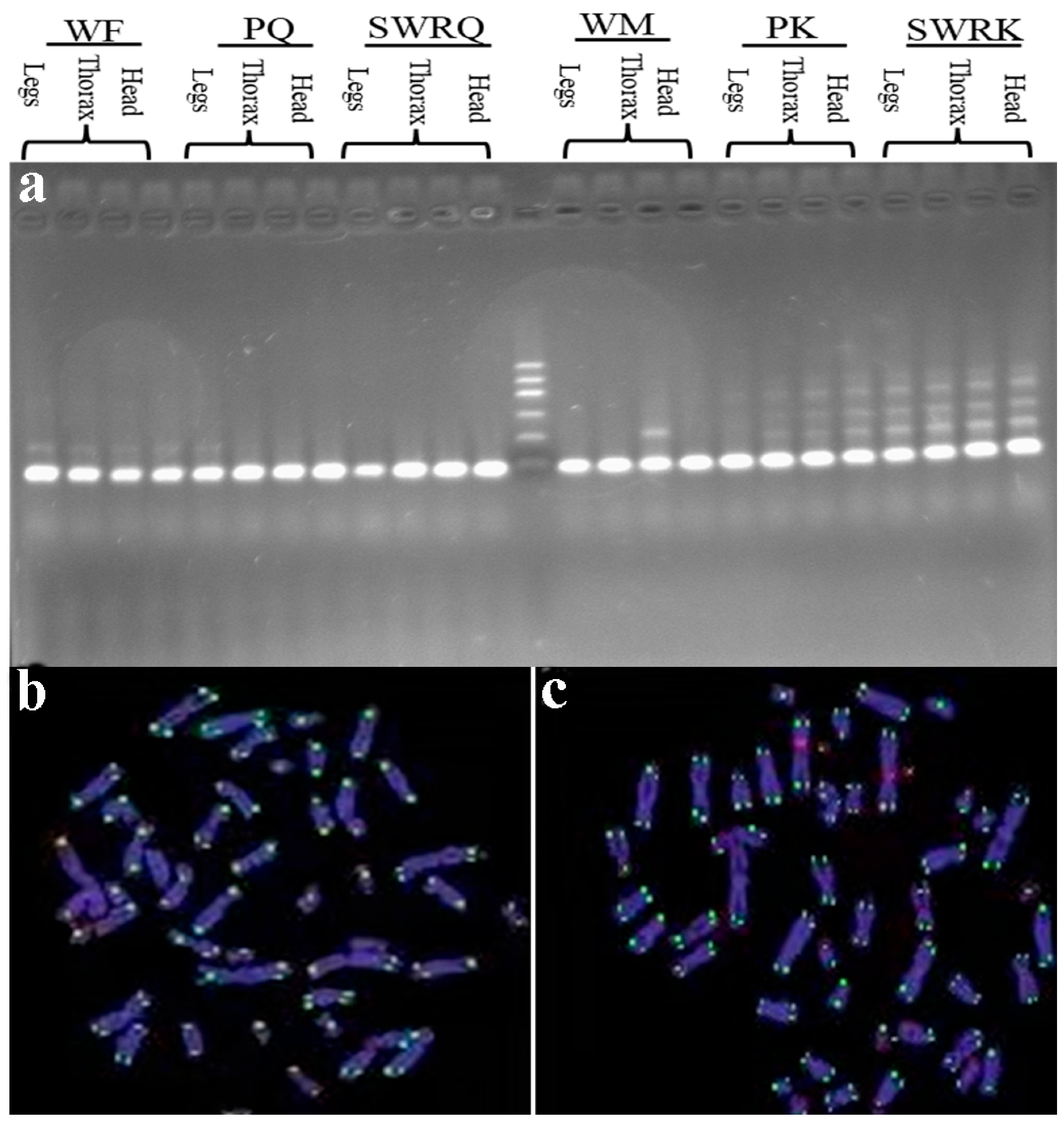 Biology 14 00166 g005