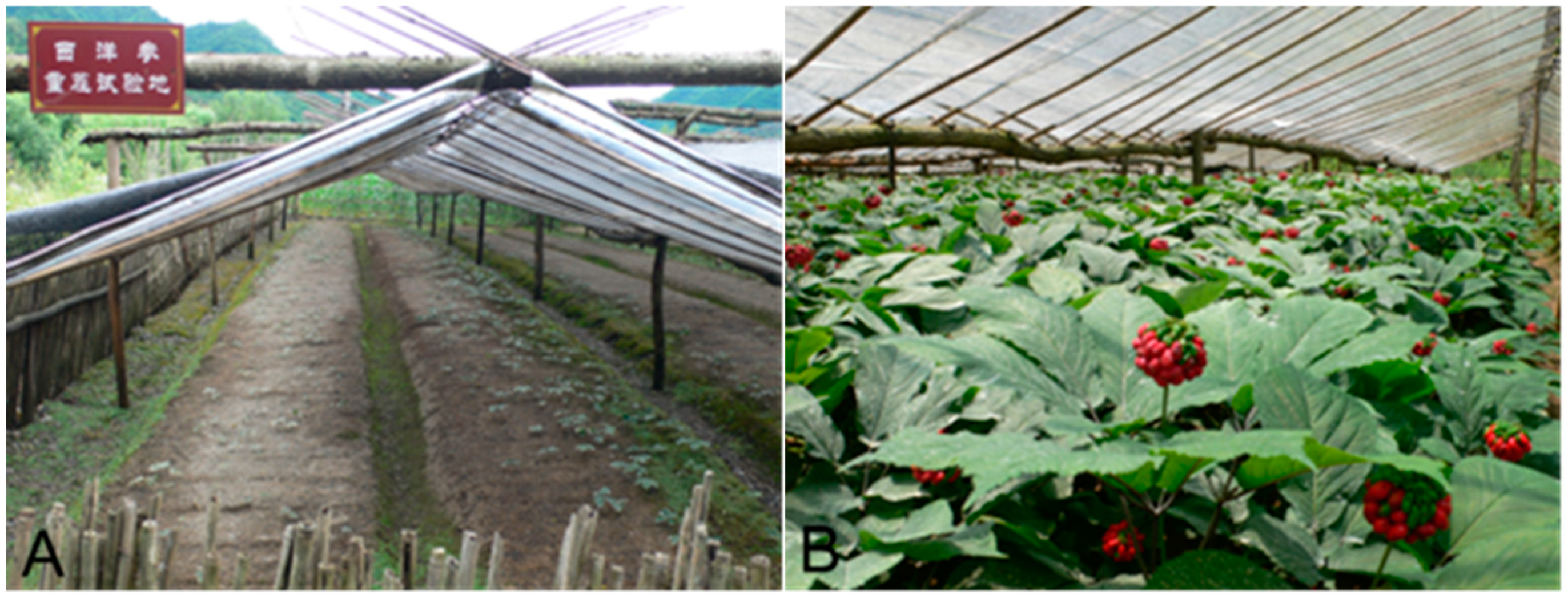 Biology 14 00167 g002