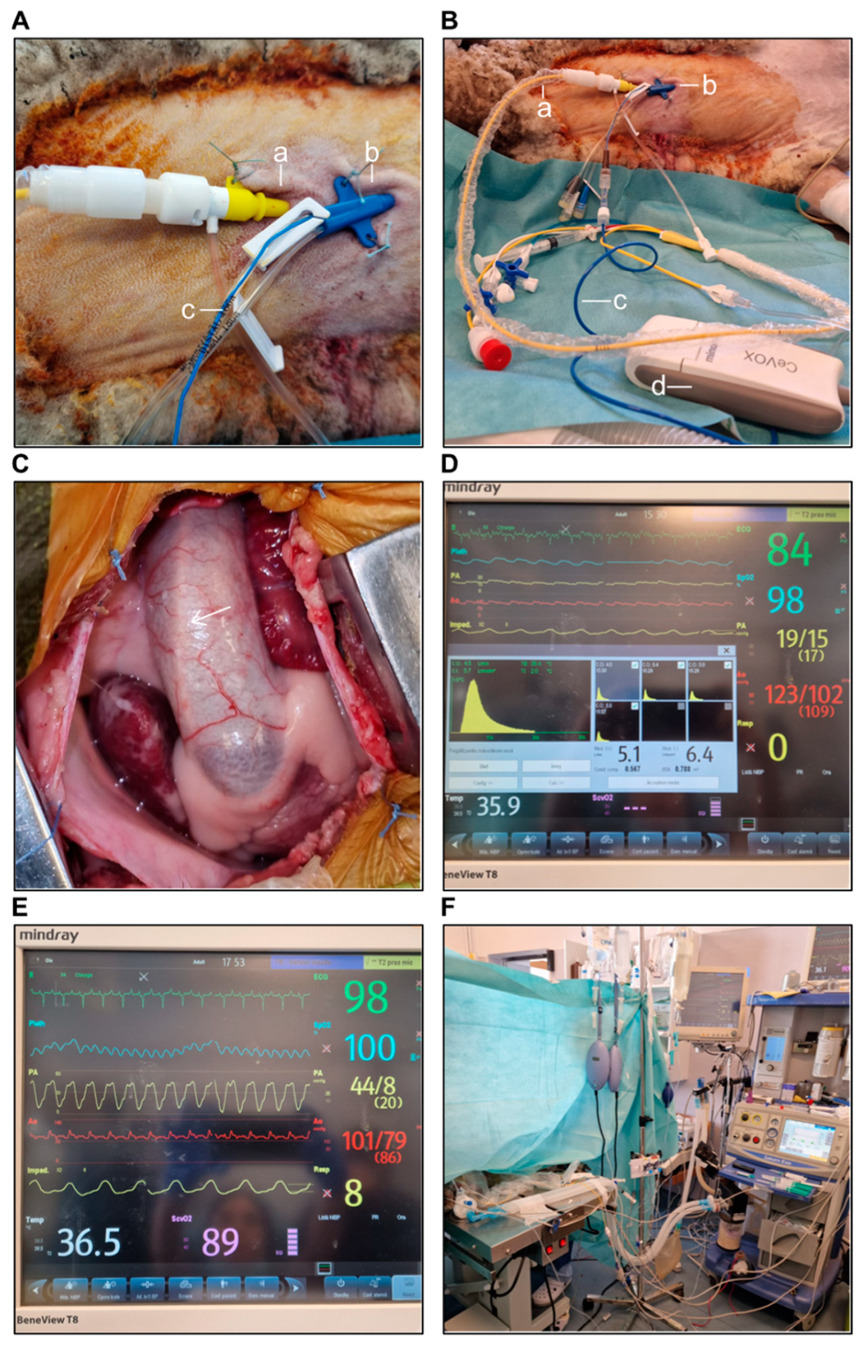 Biology 14 00170 g004