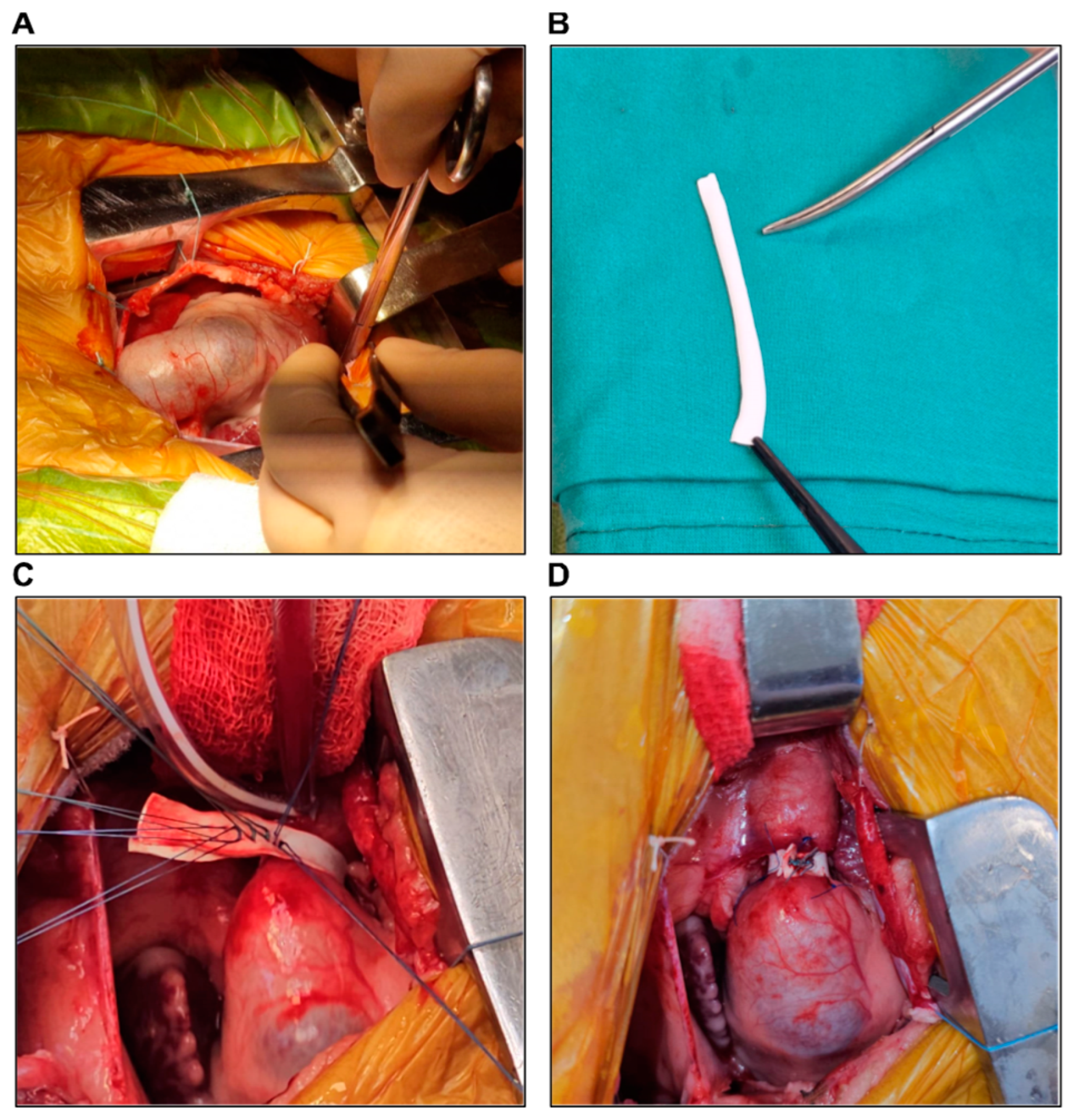 Biology 14 00170 g005