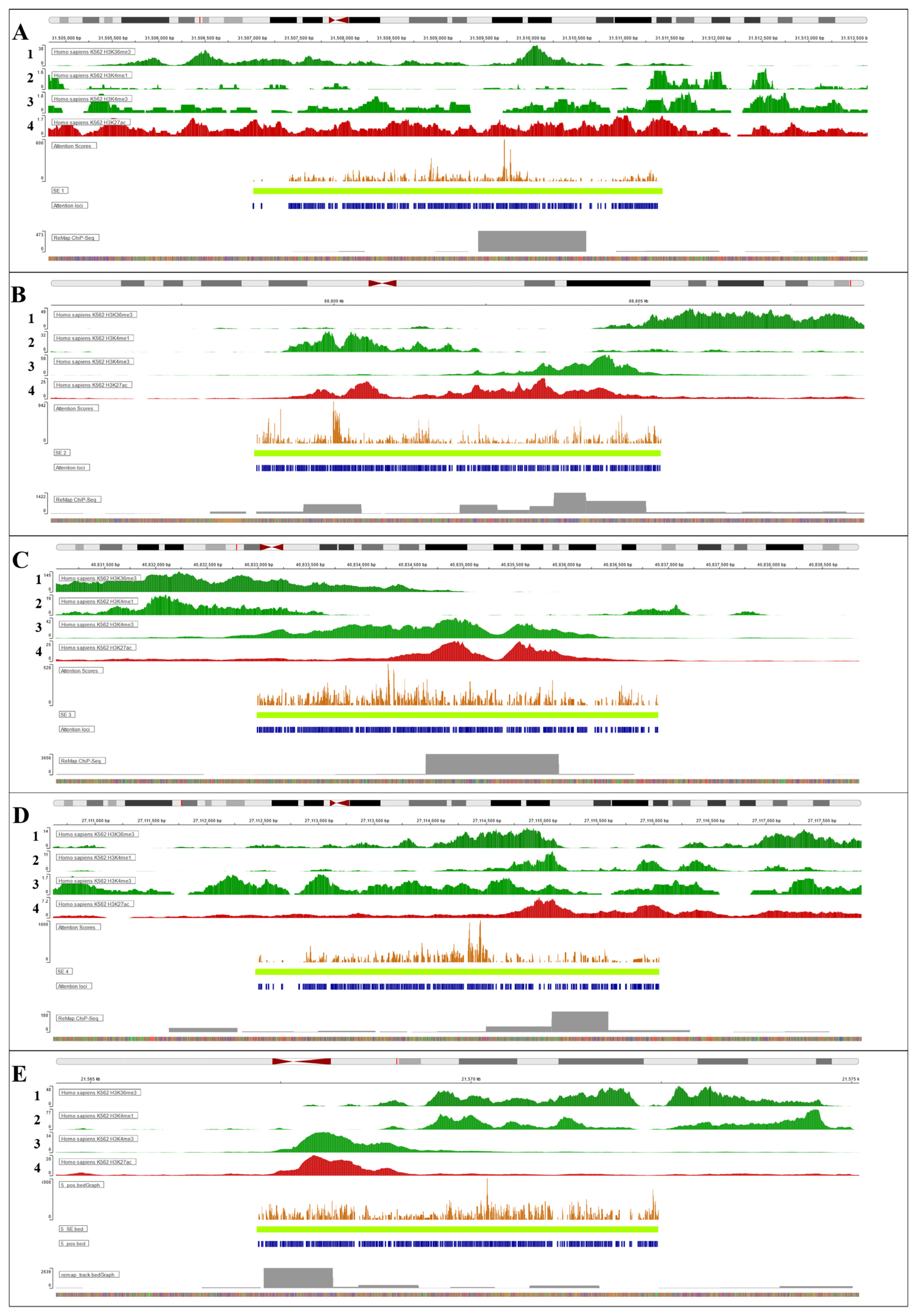 Biology 14 00172 g007