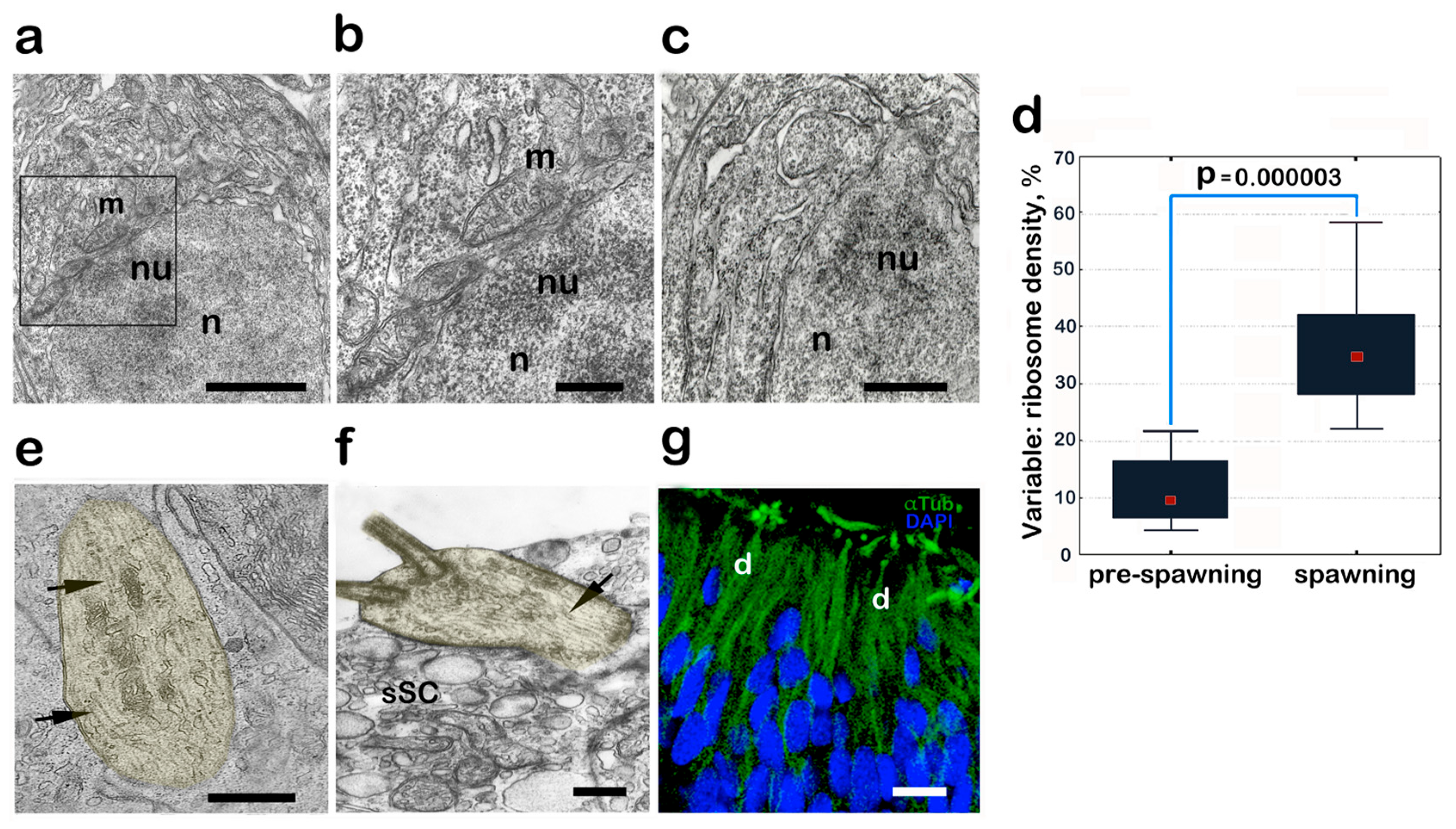 Biology 14 00179 g003