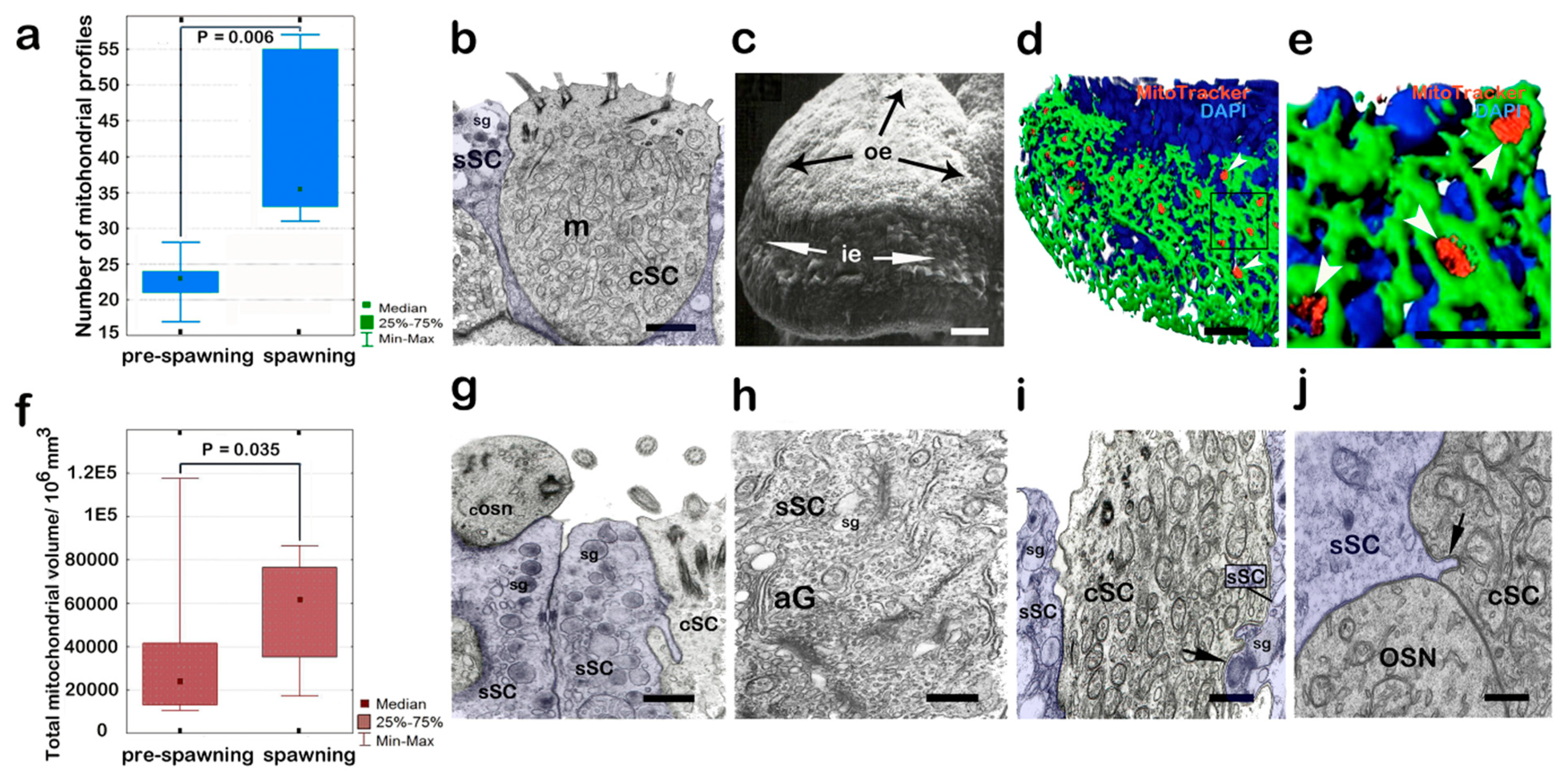 Biology 14 00179 g007